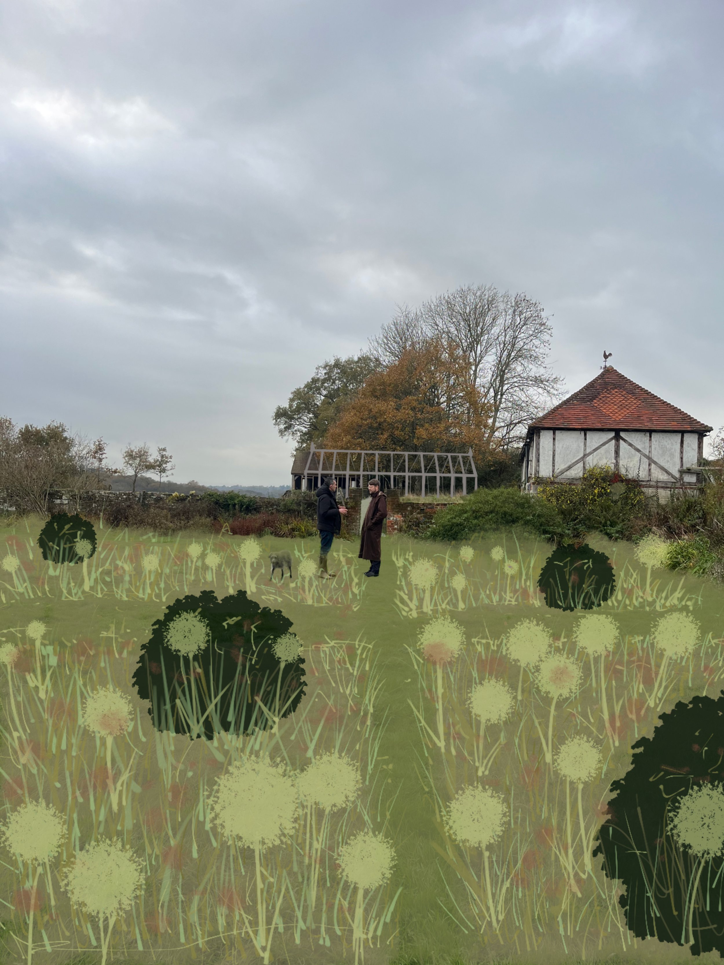 flowery lawn to greenhouse.jpeg
