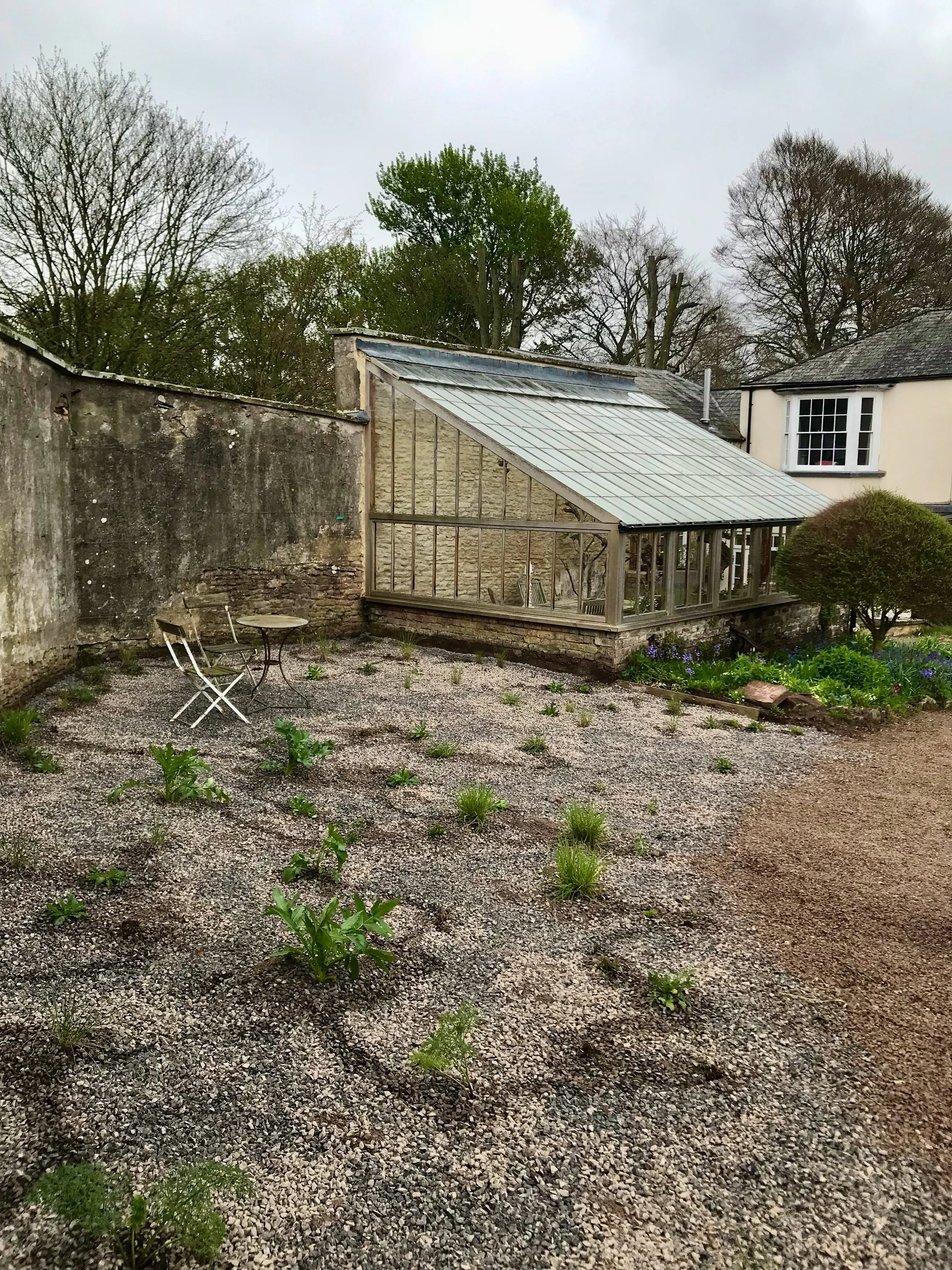 gravel to house newly planted.jpeg