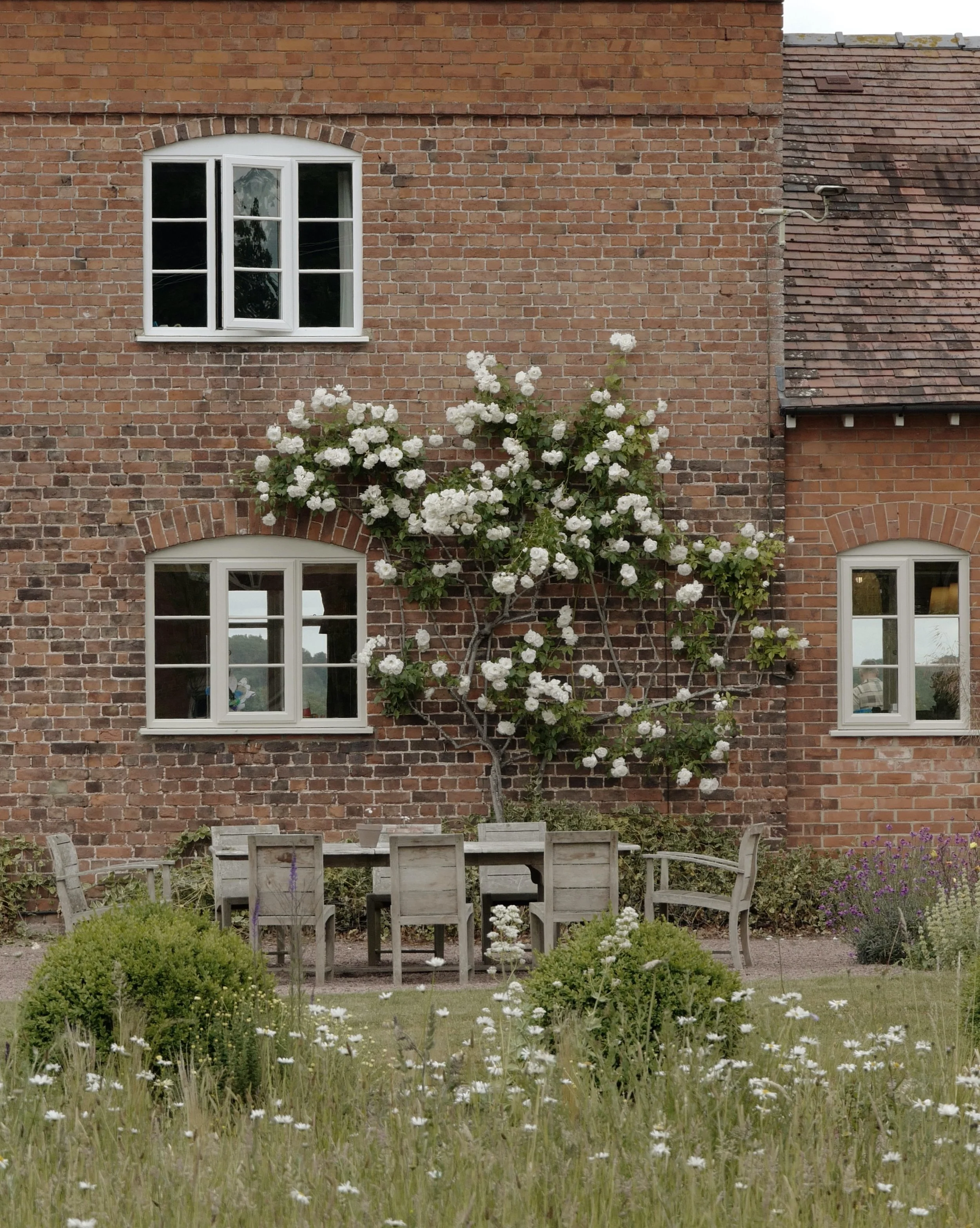 AfterlightImage (2).jpeg