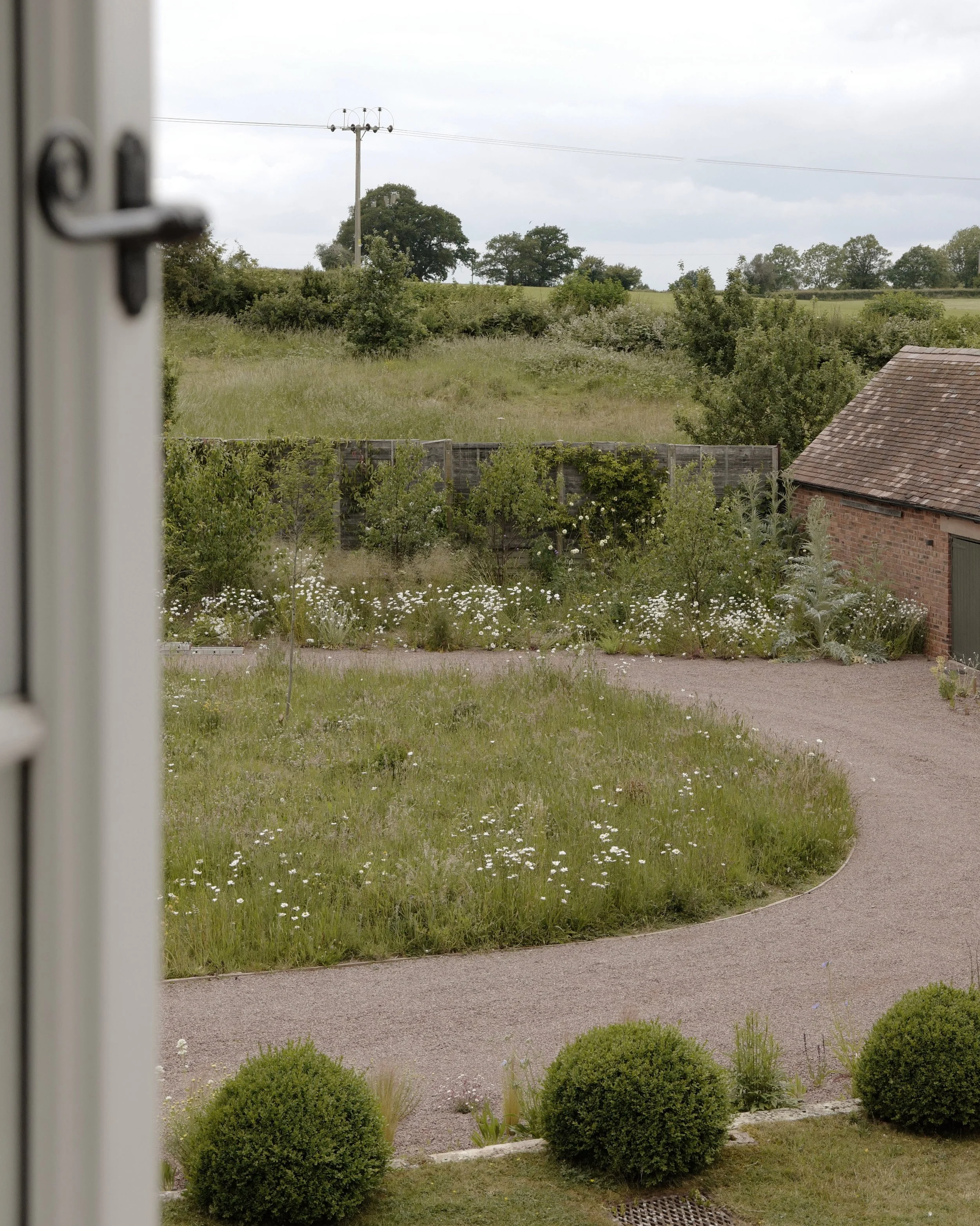 AfterlightImage (5).jpeg