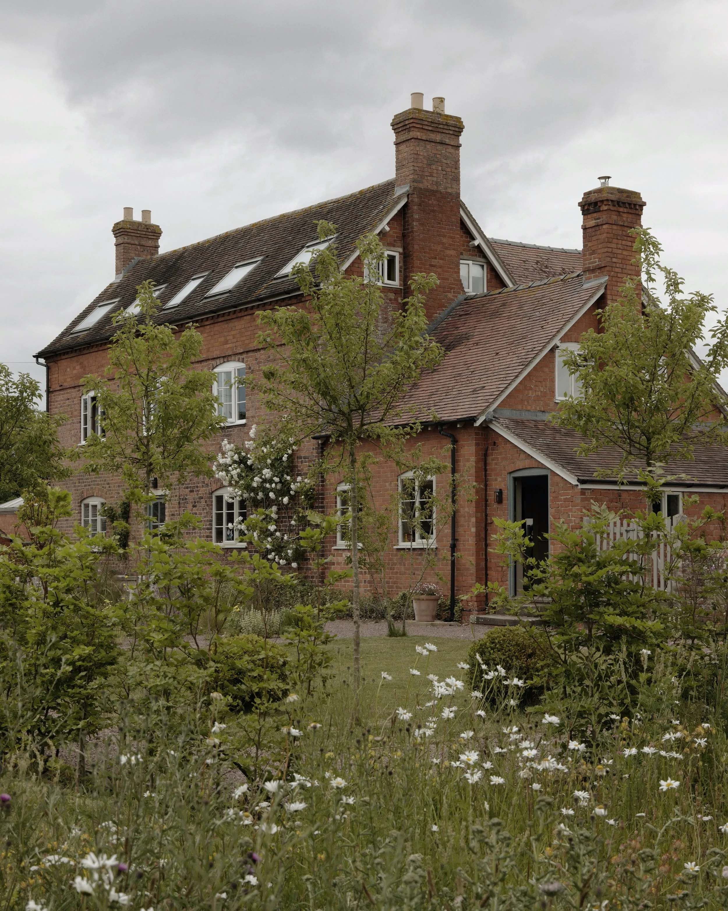 AfterlightImage (1).jpeg