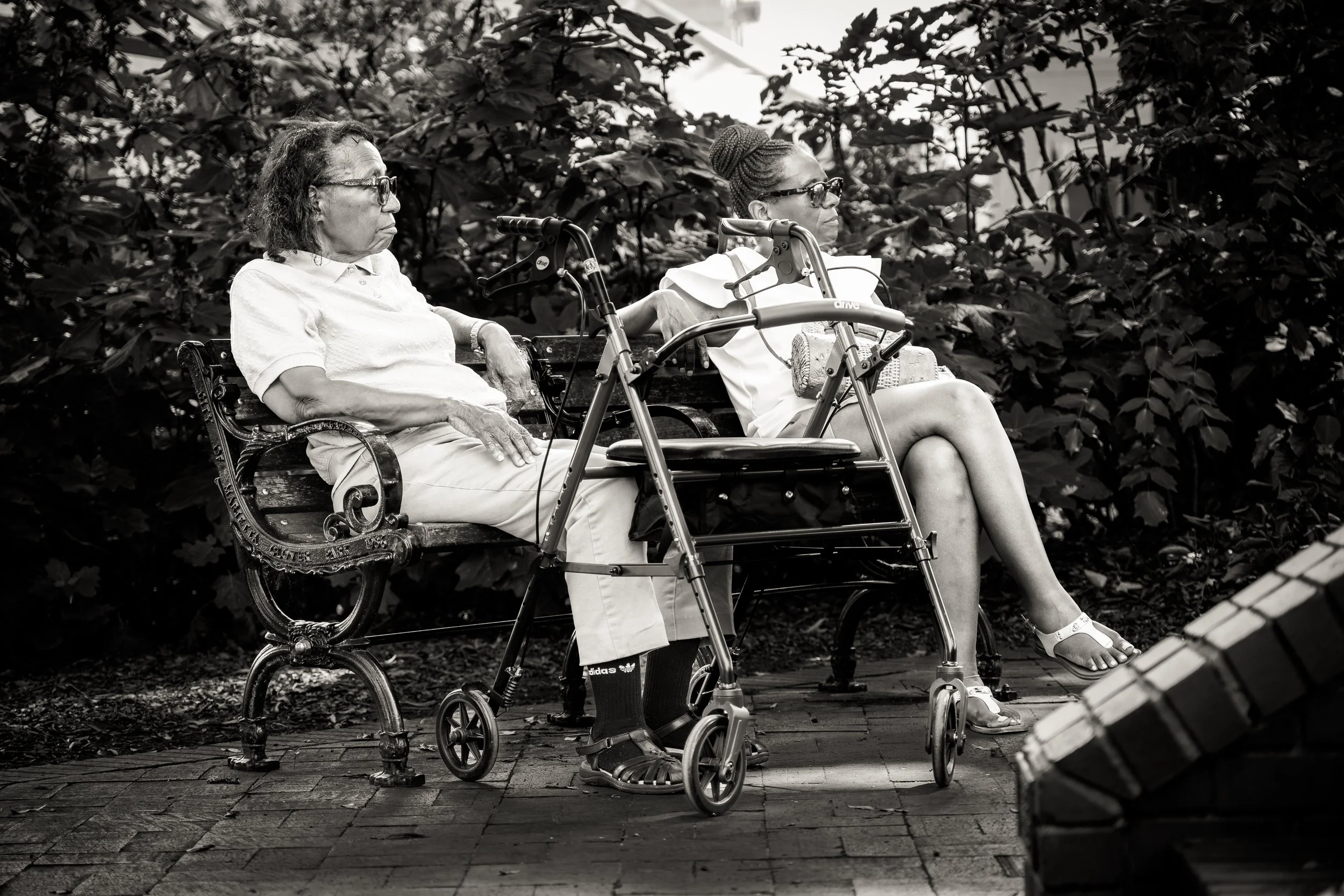 Two people sit on a park bench, accompanied by a walker, surrounded by leafy greenery.