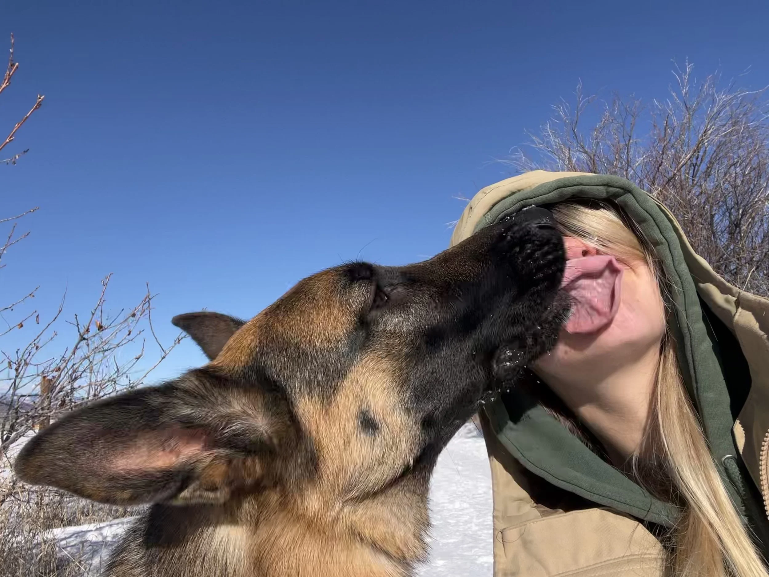 How to Choose the Right Best Friend for Your Best Friend: 7 Questions to Ask Before Hiring a Walker or Sitter