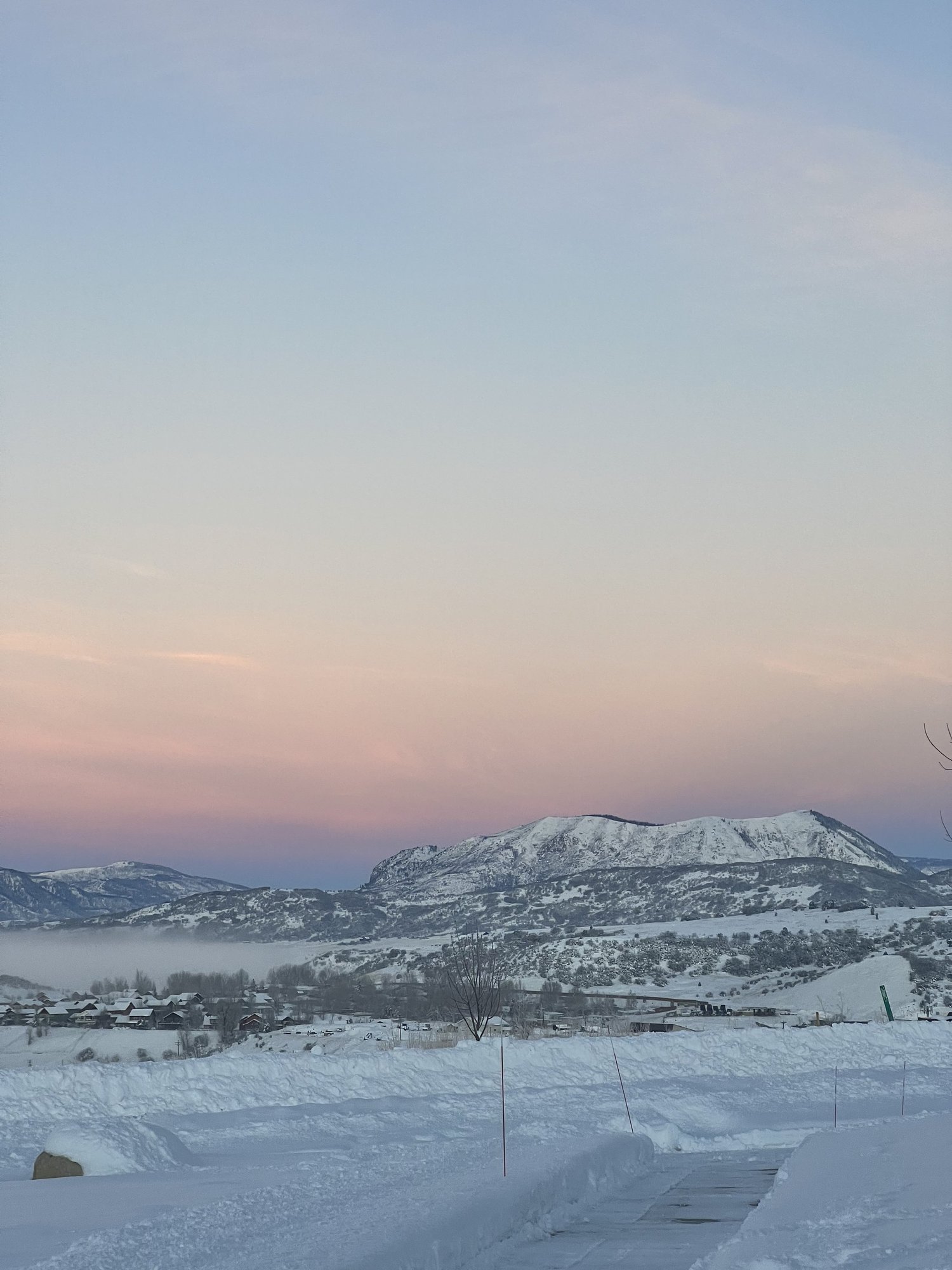 The Best Care for Your Pet in Steamboat Springs Powder Paws Pet Care