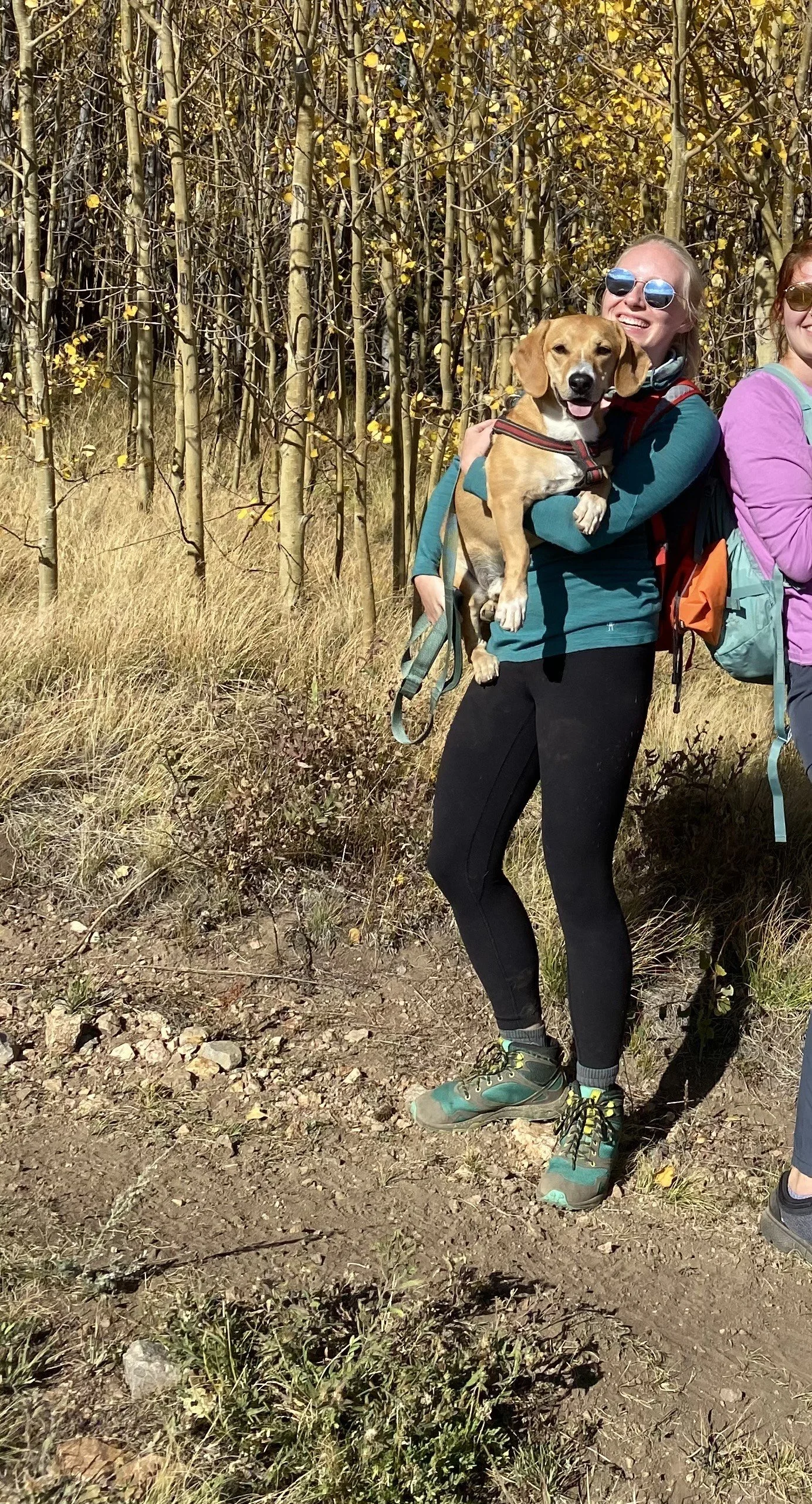 STEAMBOAT SPRINGS DOG WALKING