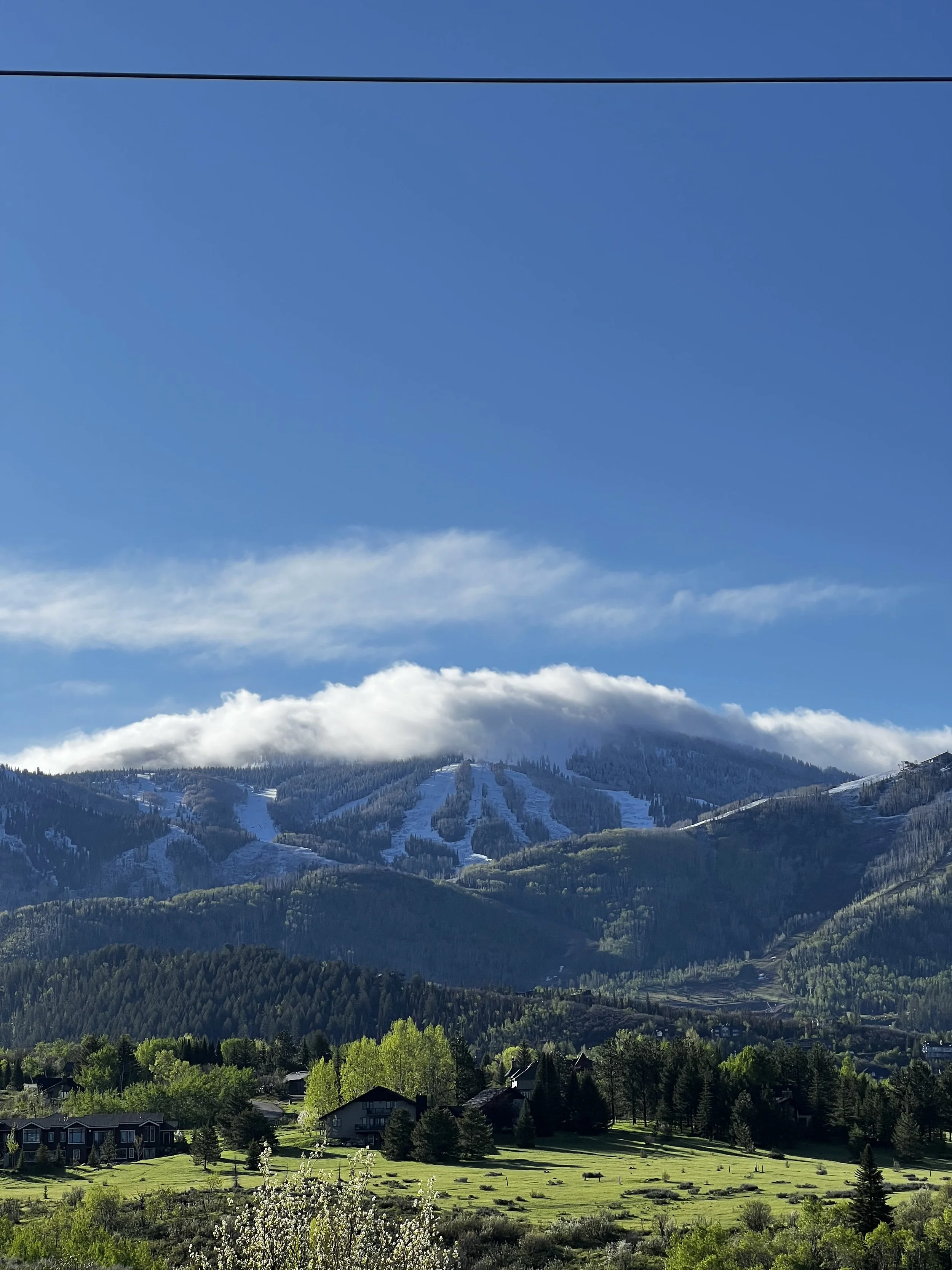 Powder Paws Premium Pet Care Services Steamboat Springs, CO