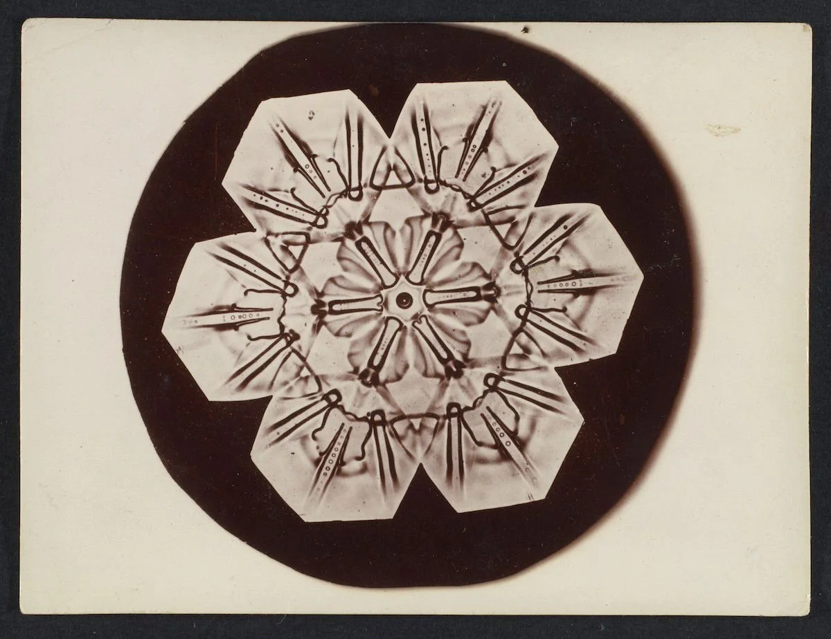 How I Understand Resilience Engineering