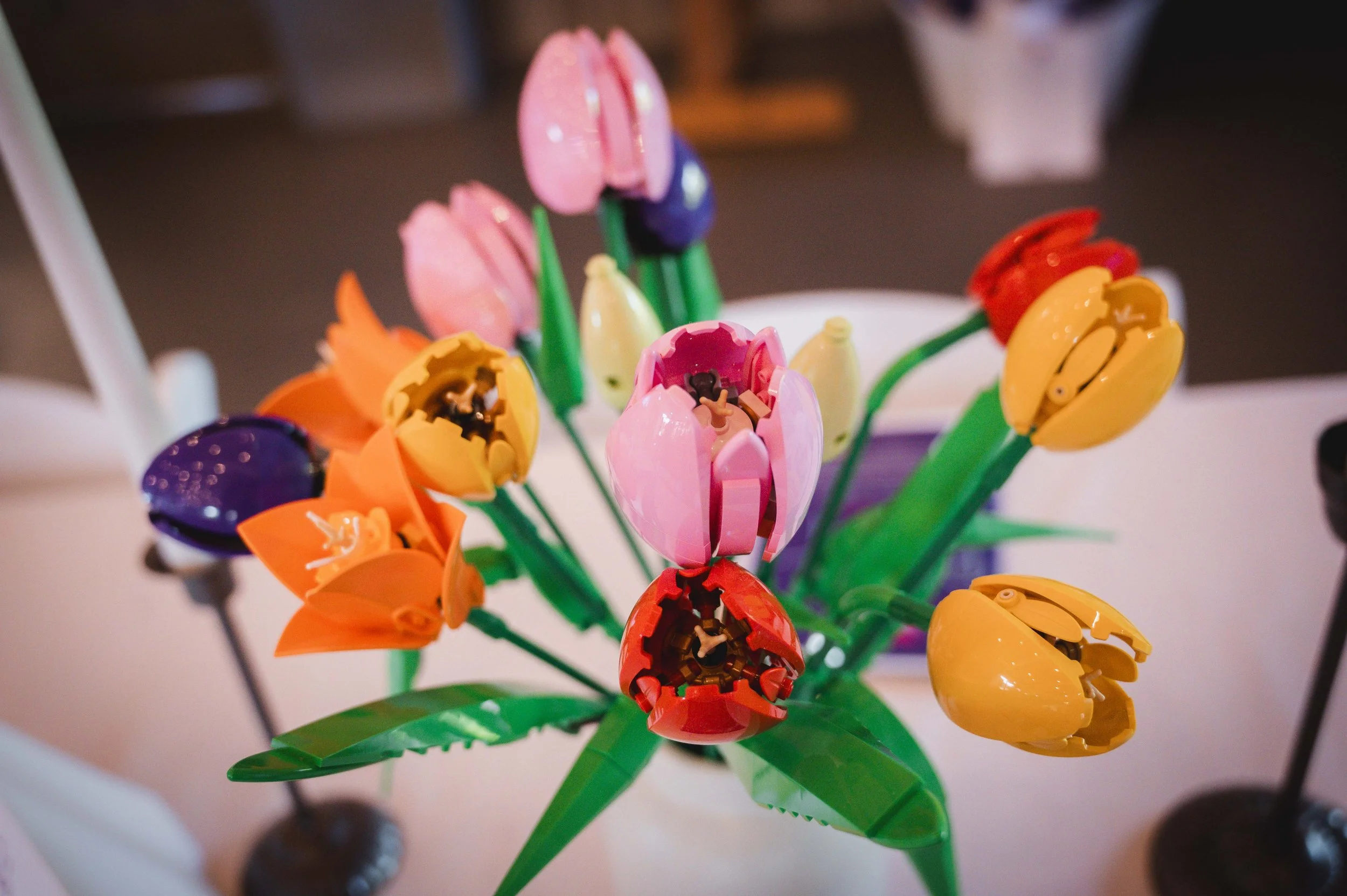Bloom_2026_3911.jpg