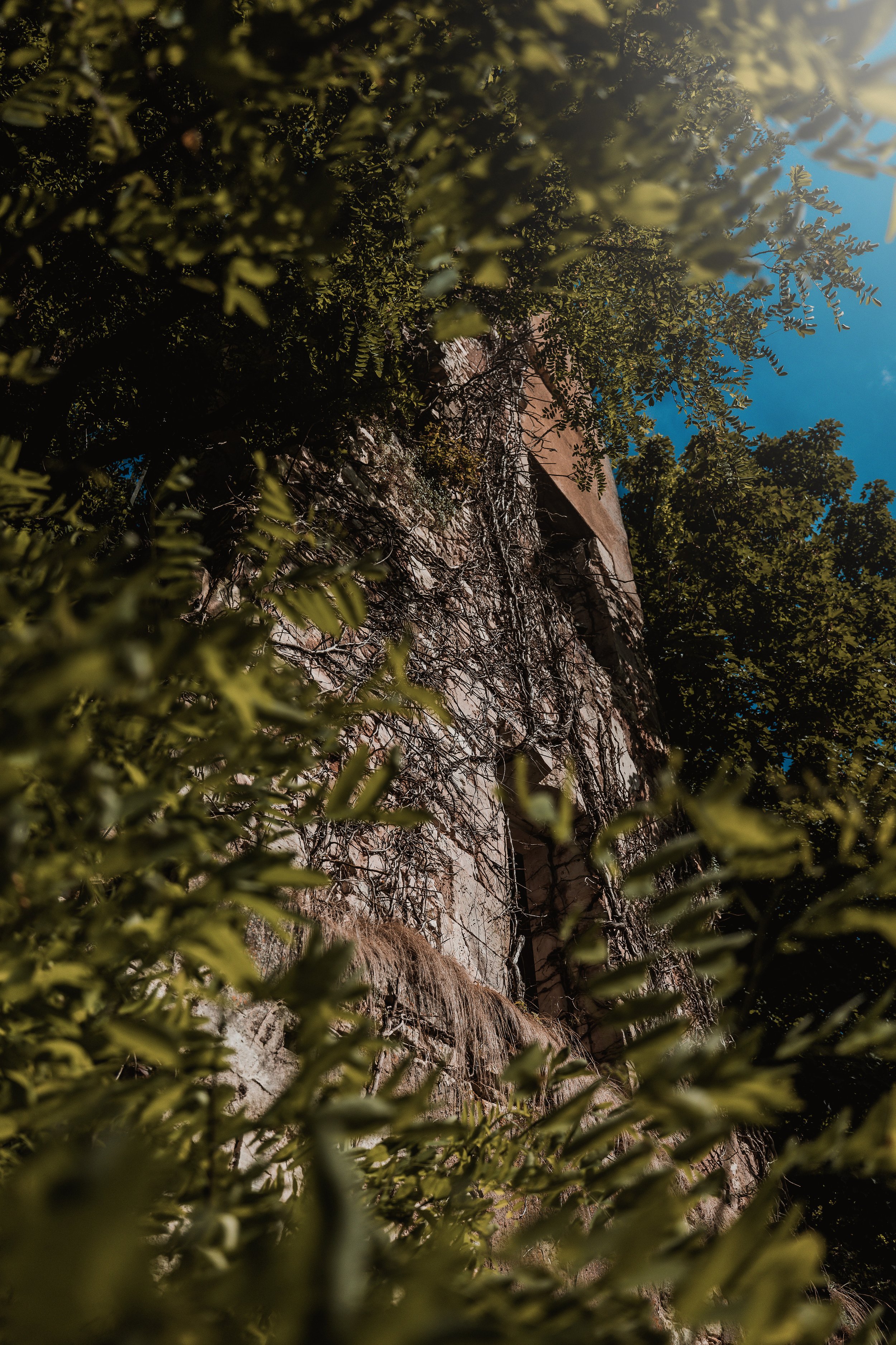 PARIS DAY 2 EDITS-107.jpg