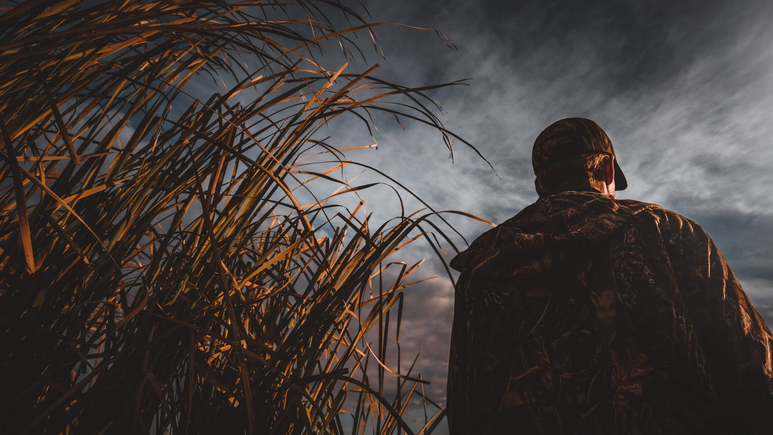 Photo Oct 06 2020, 9 21 07 AM.jpg