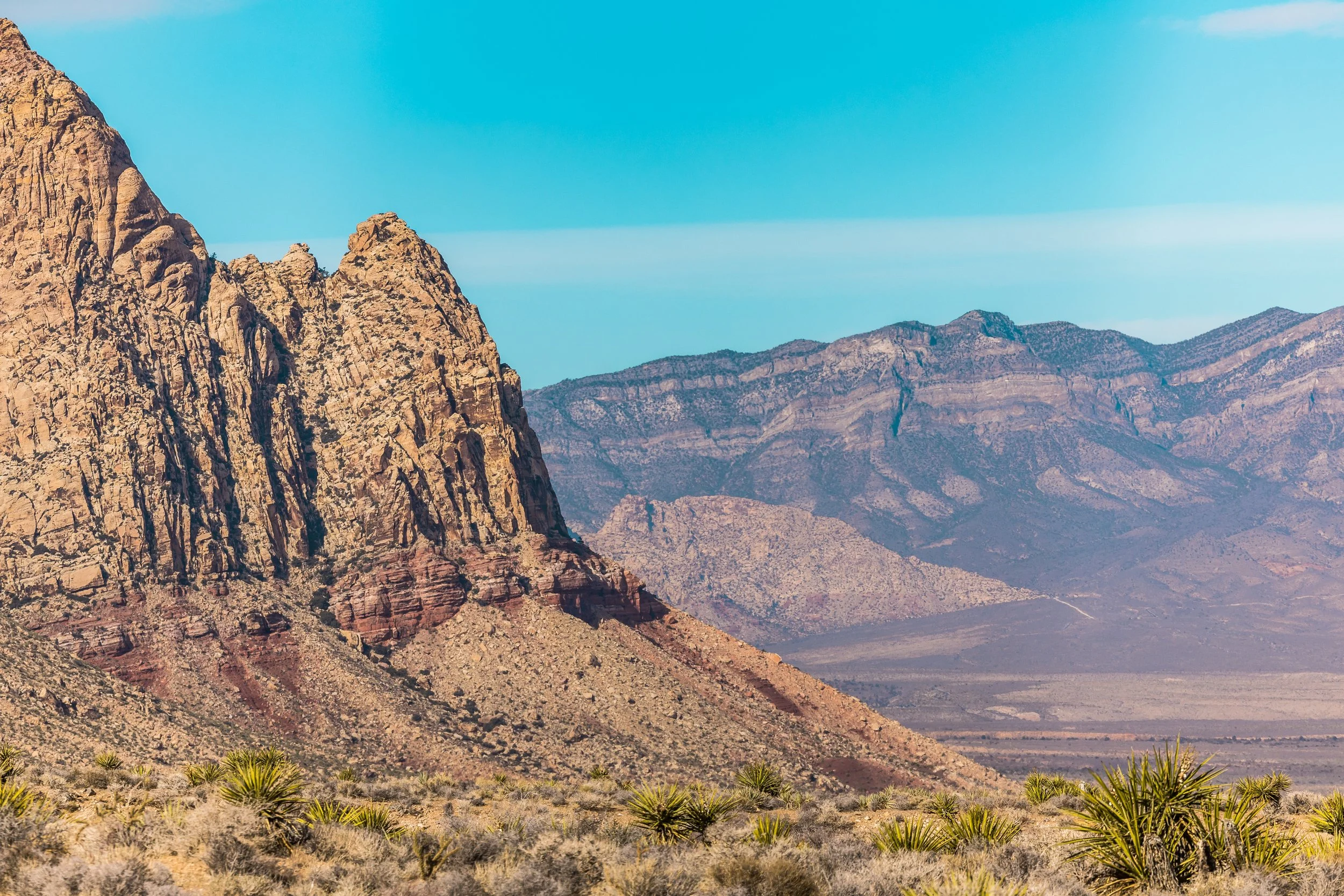 pfnv landscape-13.jpg