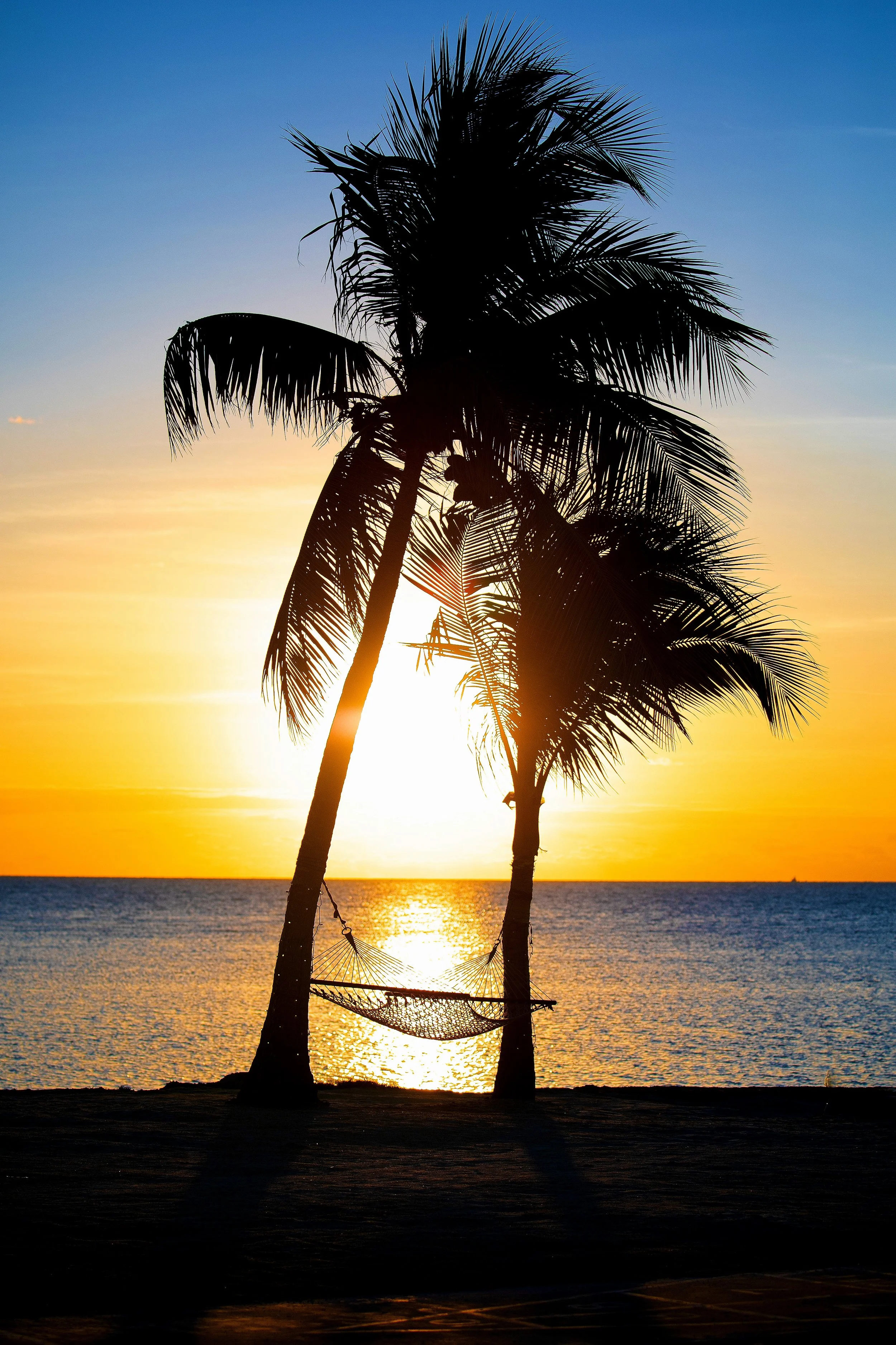 Photo Jan 19 2021, 1 11 07 PM.jpg