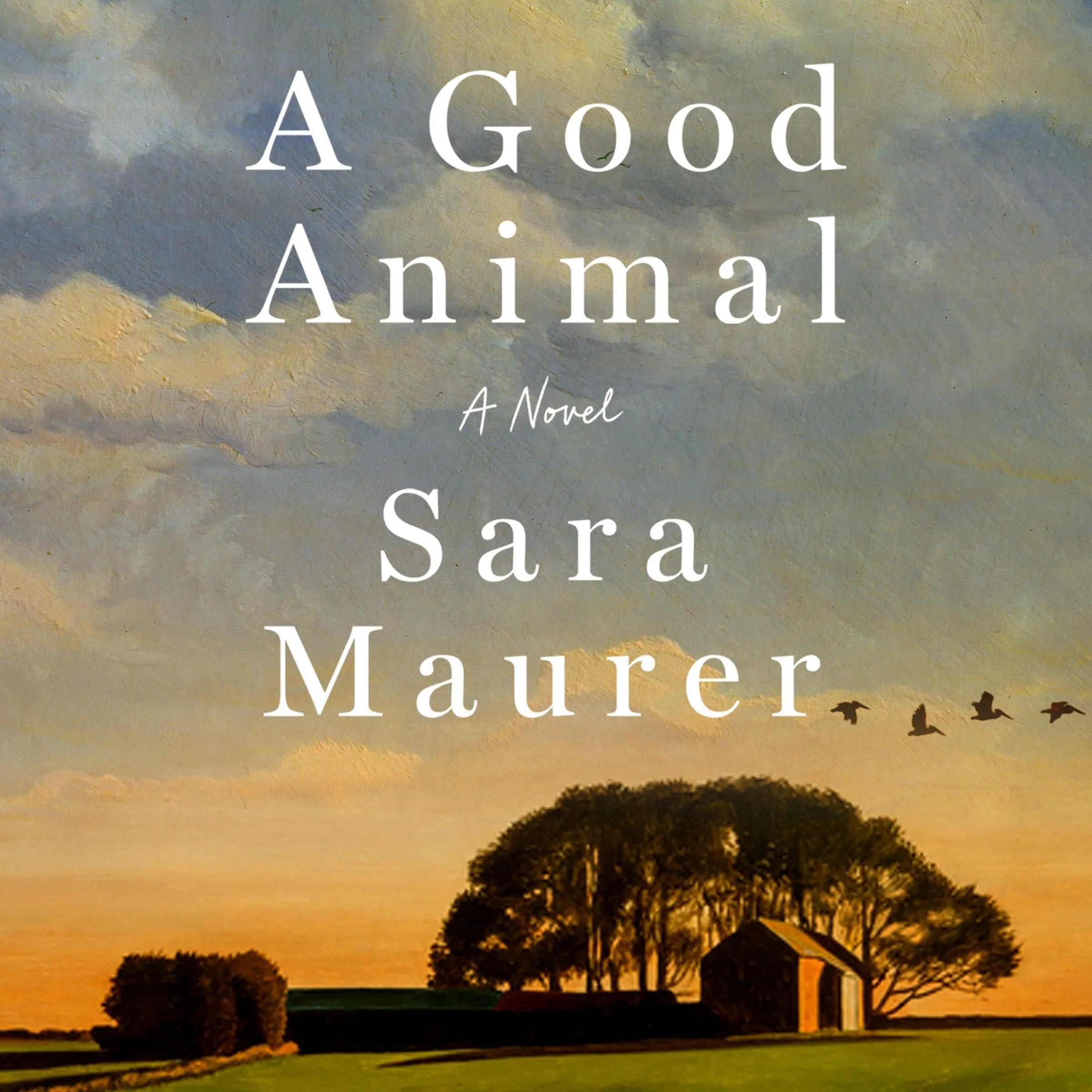 Sara Maurer in Conversation with Jenny Carney at Sidetrack Bookshop in Royal Oak, MI