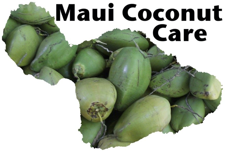 Maui Coconut Caregivers LLC