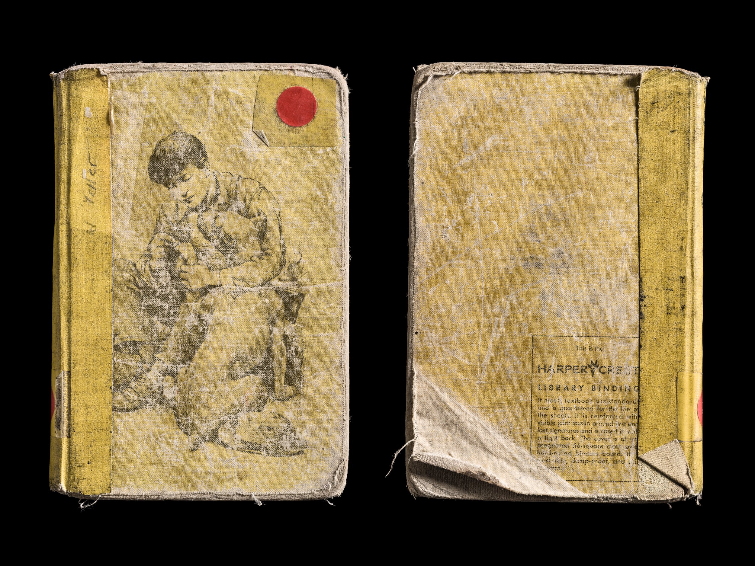 Old Yeller Covers Front and Back