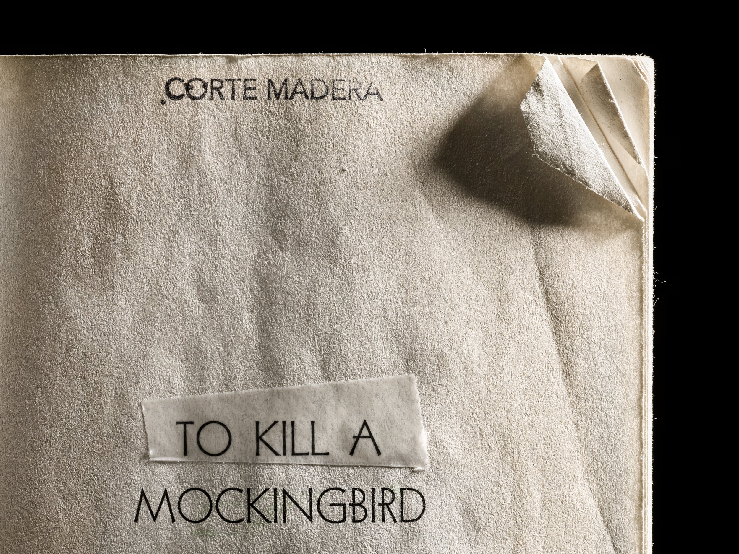 To Kill a Mockingbird expired library book