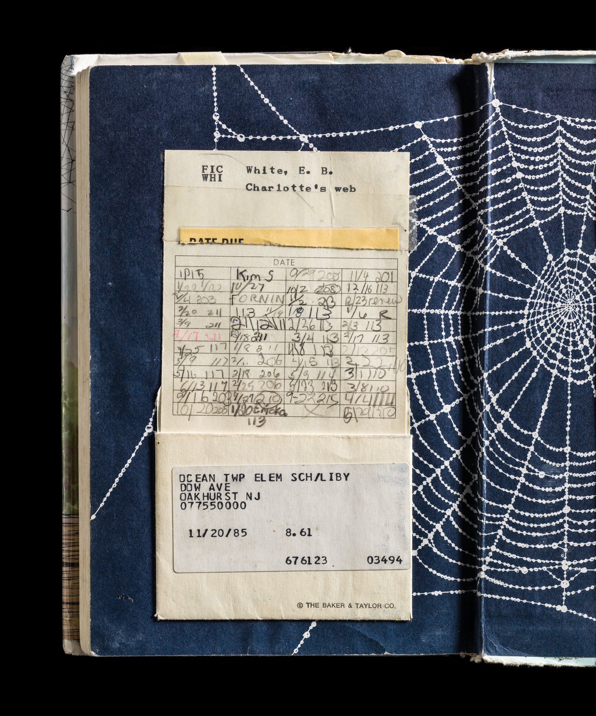 Charlotte's Web expired library book