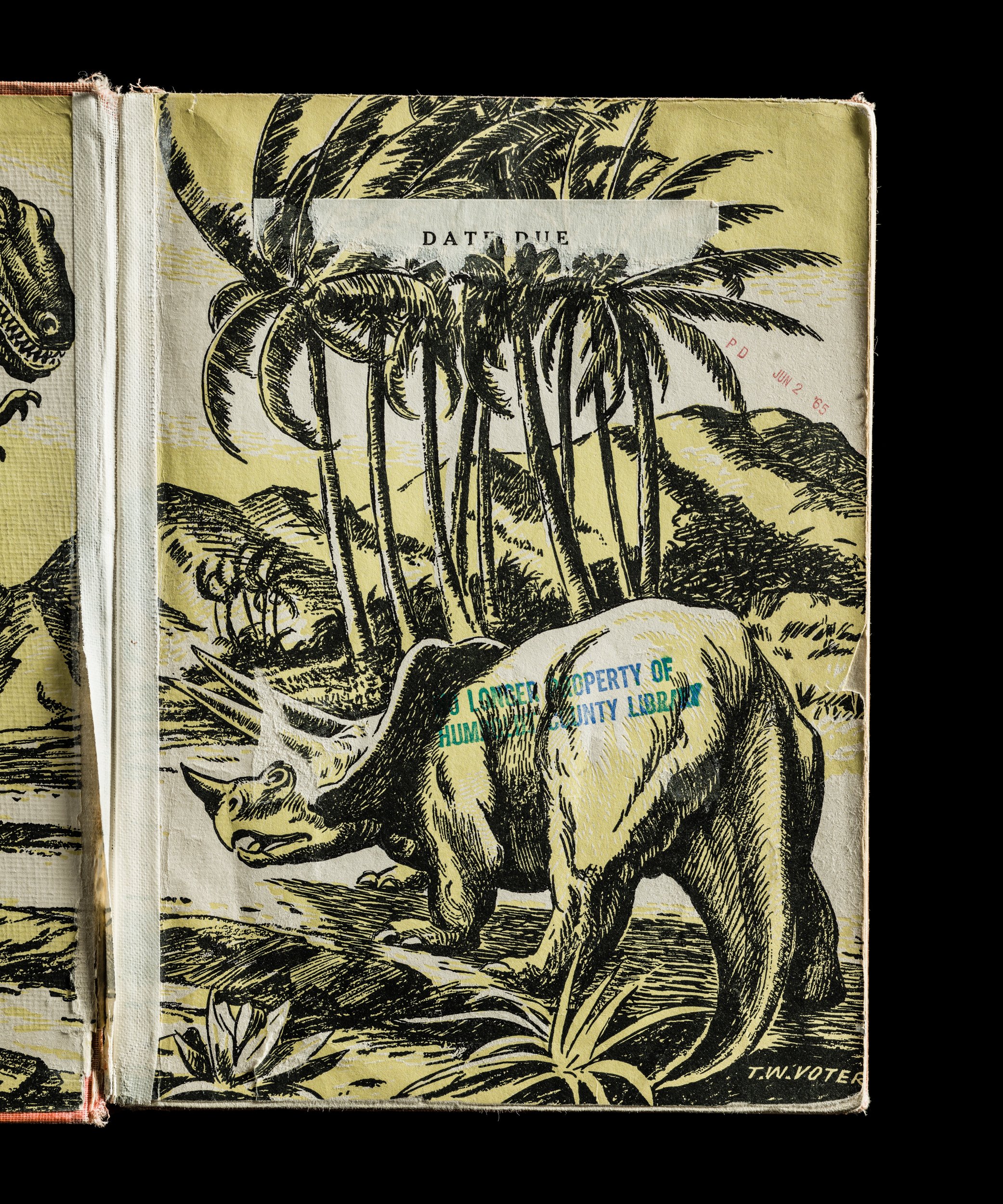 All About Dinosaurs Expired Library book