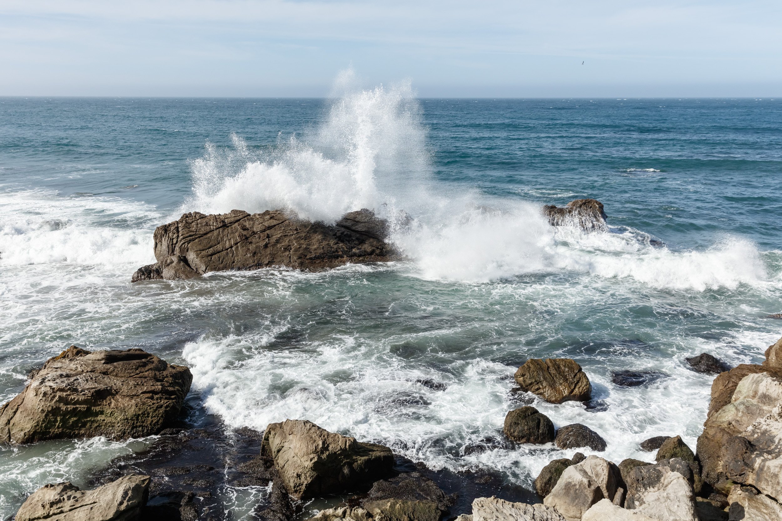 Relocation attempt in Sea Ranch