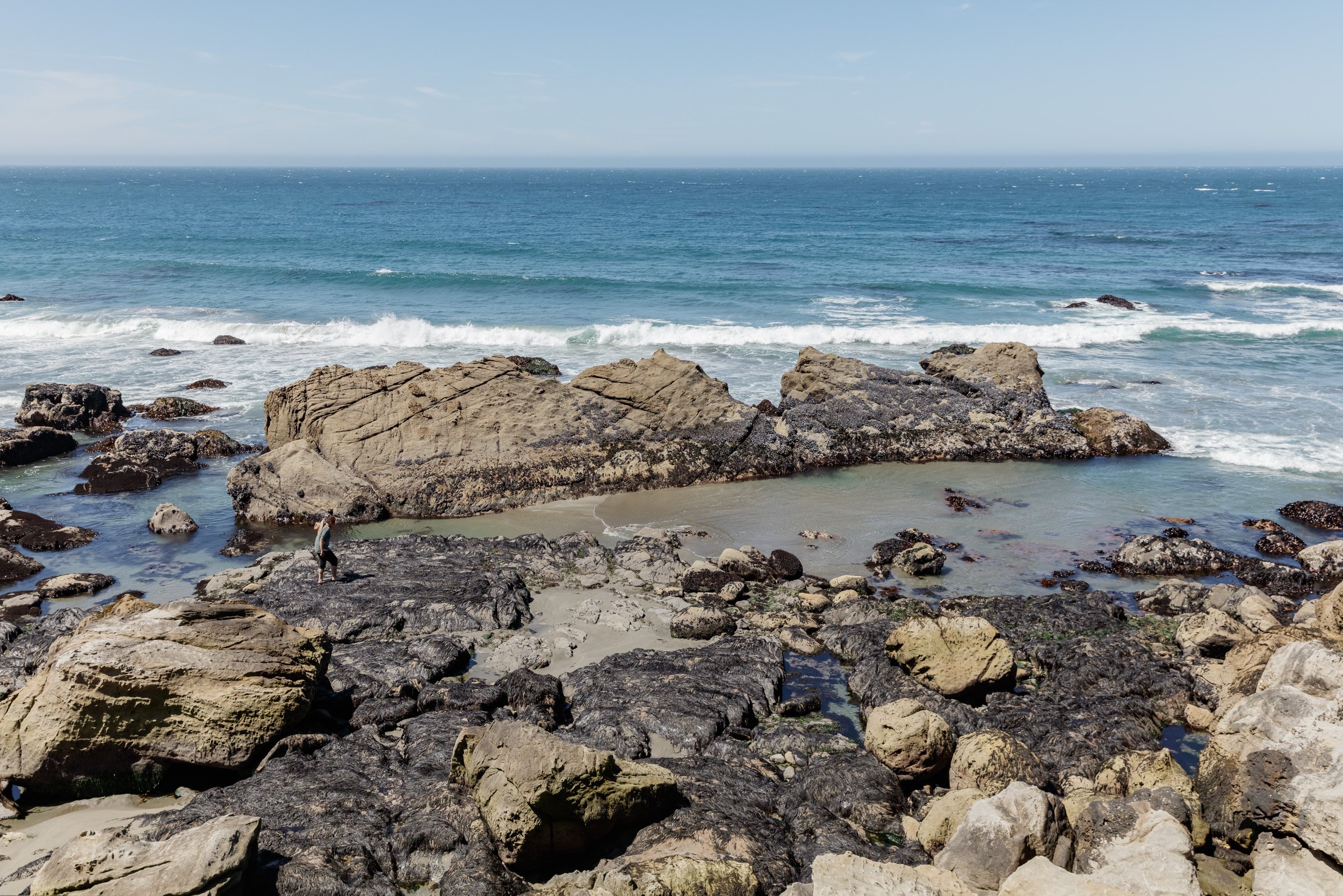 Relocation attempt in Sea Ranch