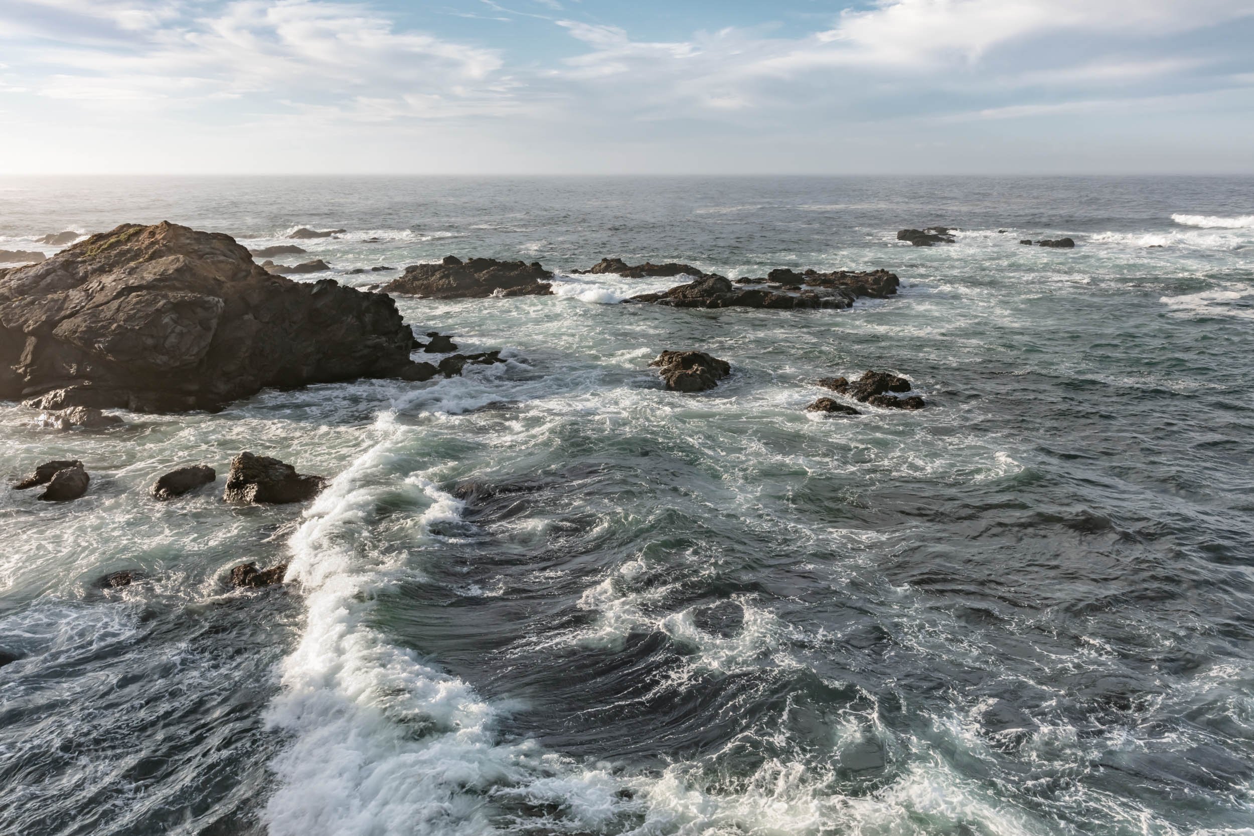 Sea Ranch Wild Moor Relocation Attempt