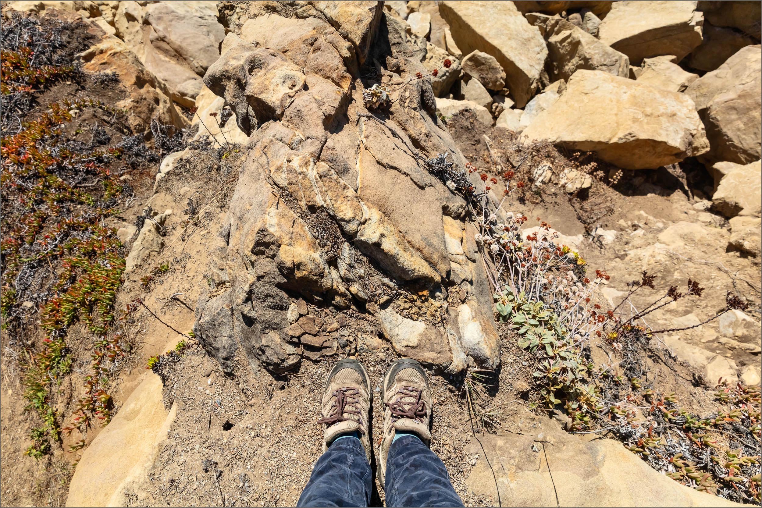 241008_SeaRanch_0022_FEET_Match_R.jpg