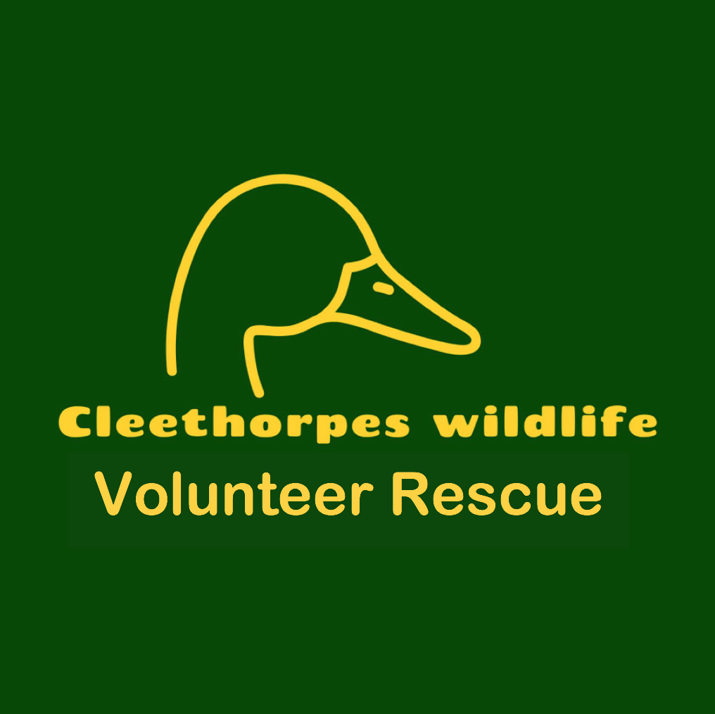 Cleethorpes Wildlife Rescue 