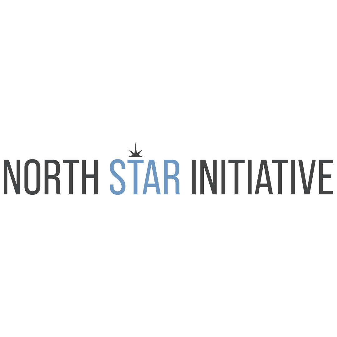 Logo of North Star Initiative with a stylized star above the letter S and the words."NORTH STAR INITIATIVE" with 'STAR' in blue and the rest in black.