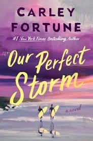Our Perfect Storm by Carley Fortune.jpeg