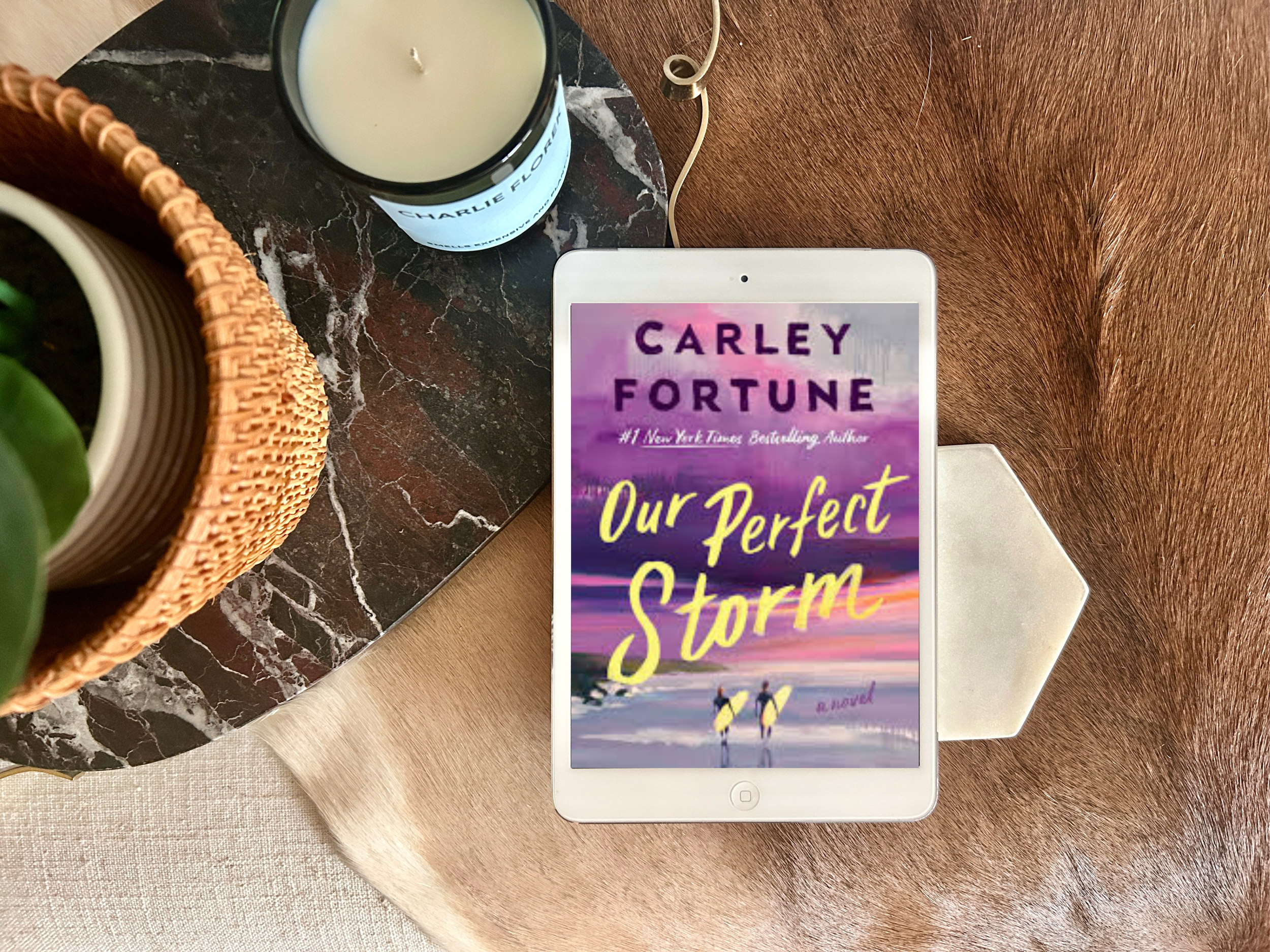 Sneak Peek: Our Perfect Storm by Carley Fortune