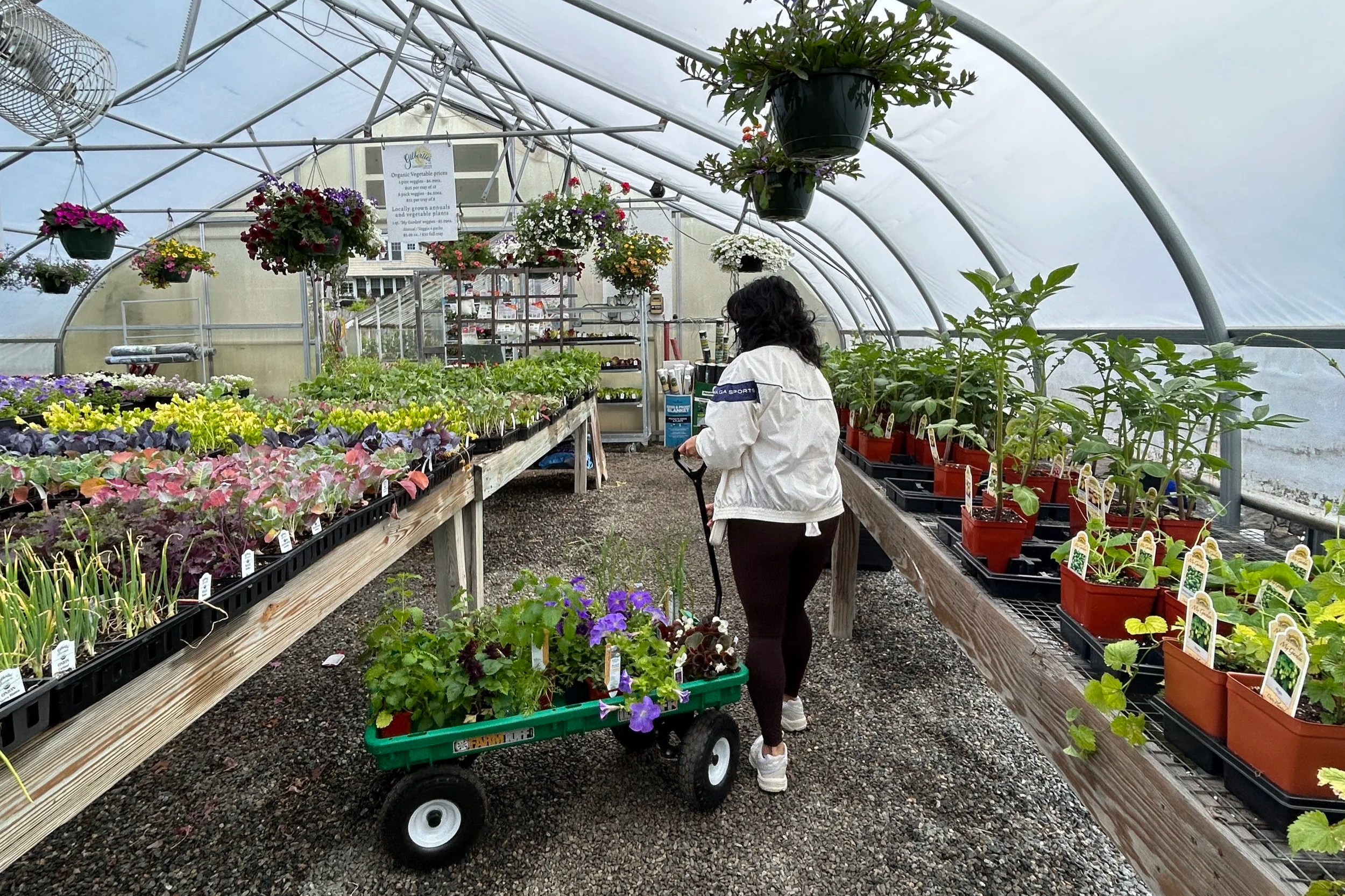 Romanticizing a Trip to a Garden Nursery