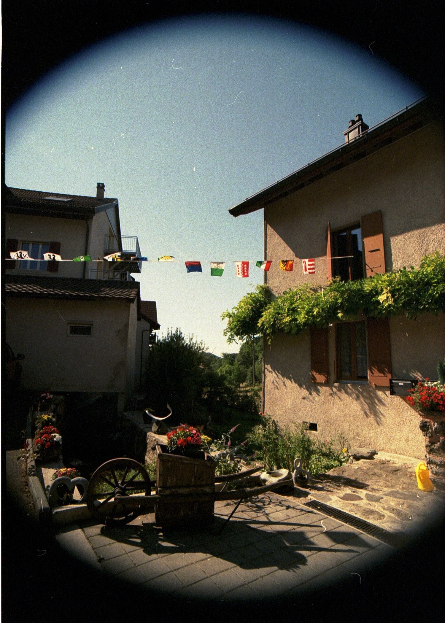 IMG_3572.jpeg