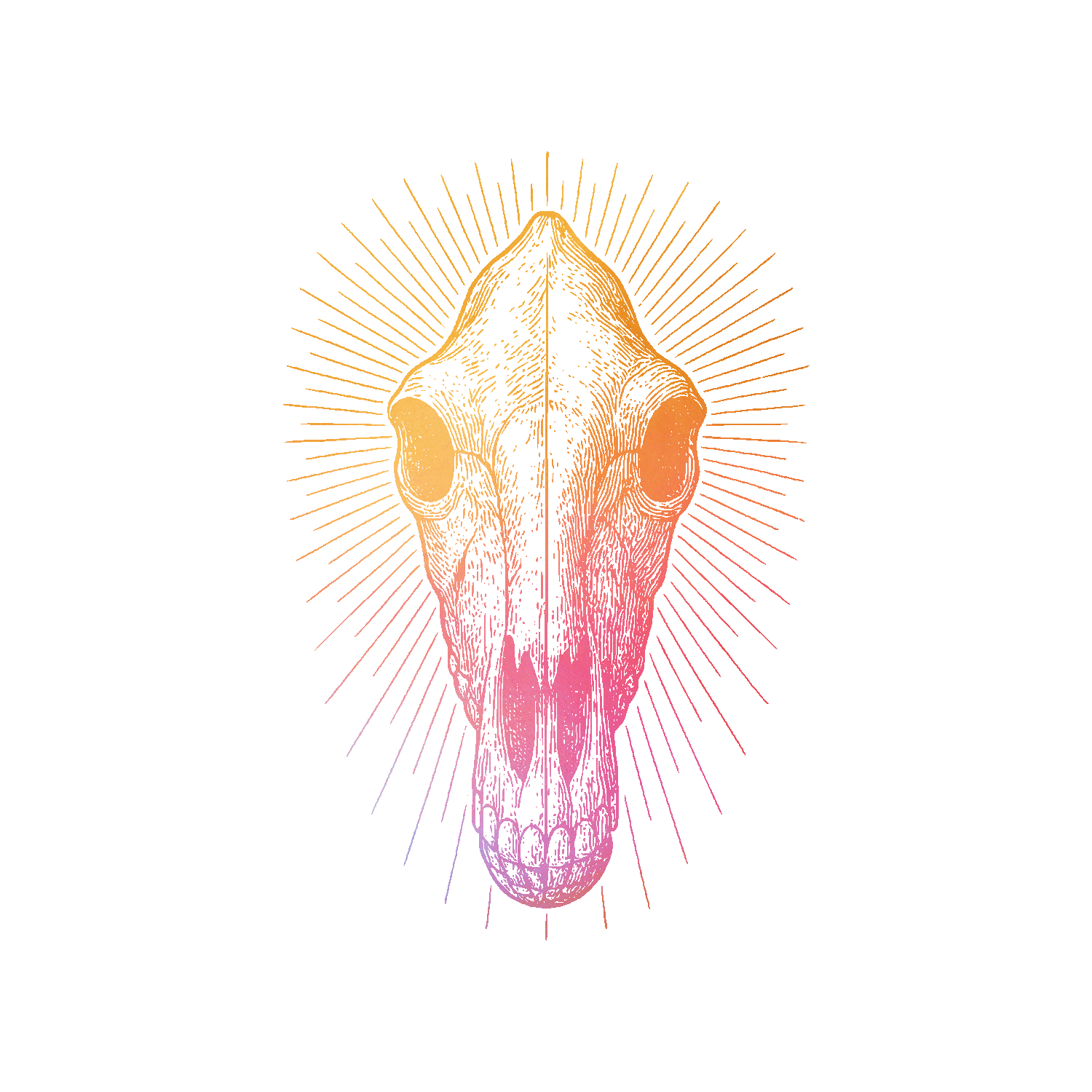 Cowboy Libretto | Western Swing Music