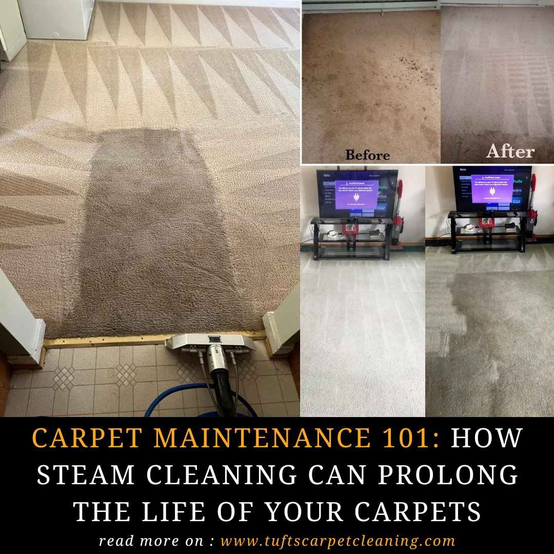 How to Deep Clean Carpet With Steam Cleaner: Ultimate Guide