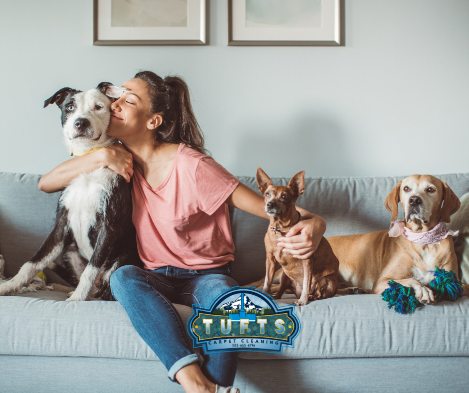 Experience the joy of a fresh, clean home with Tufts Carpet Cleaning. Our non-toxic solutions and trained professionals will leave your carpets, rugs and upholstery looking and smelling great. Relax with your furry best friends on a freshly cleaned c