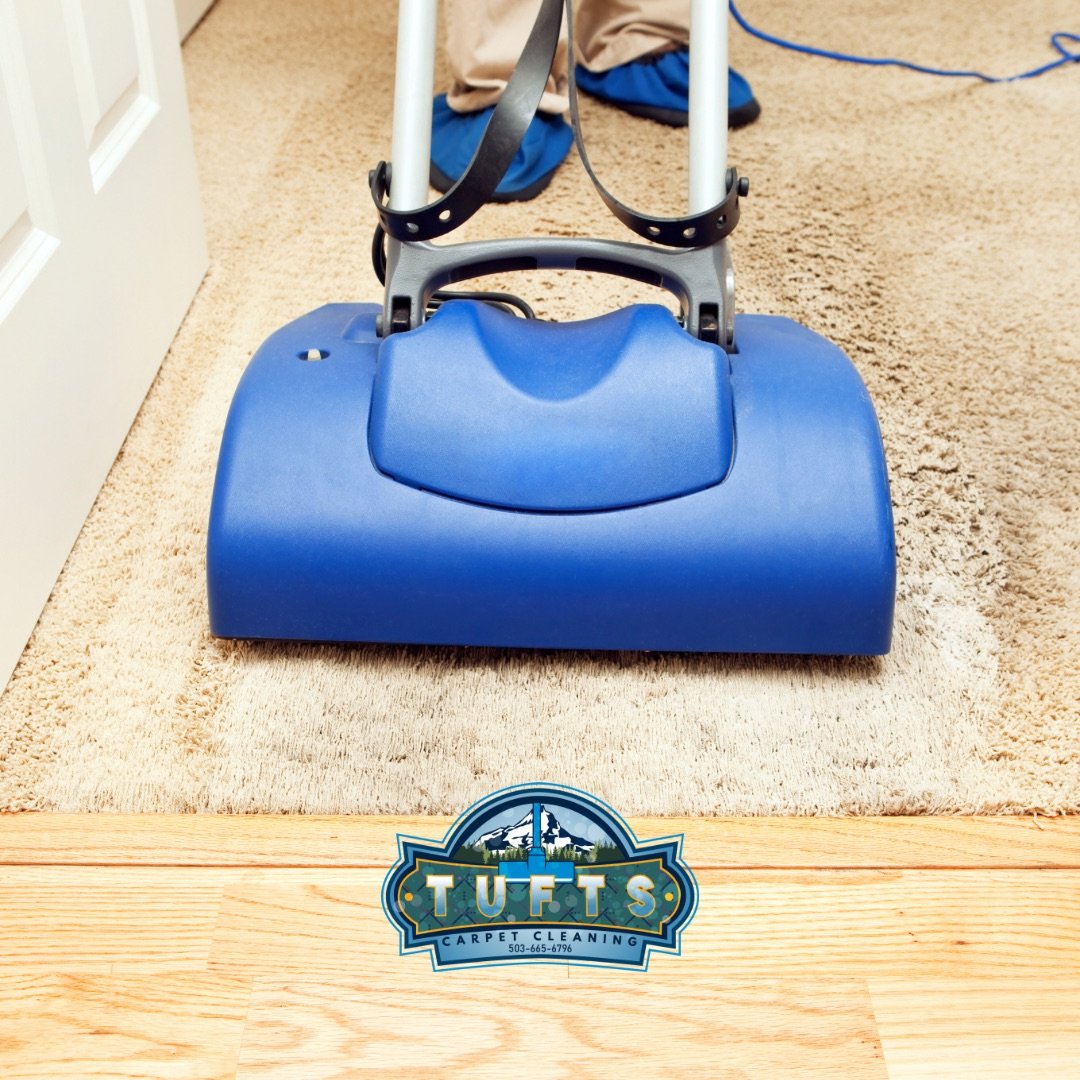 Dry Carpet Cleaning Vs Wet Carpet Cleaning — Kleen-Dri