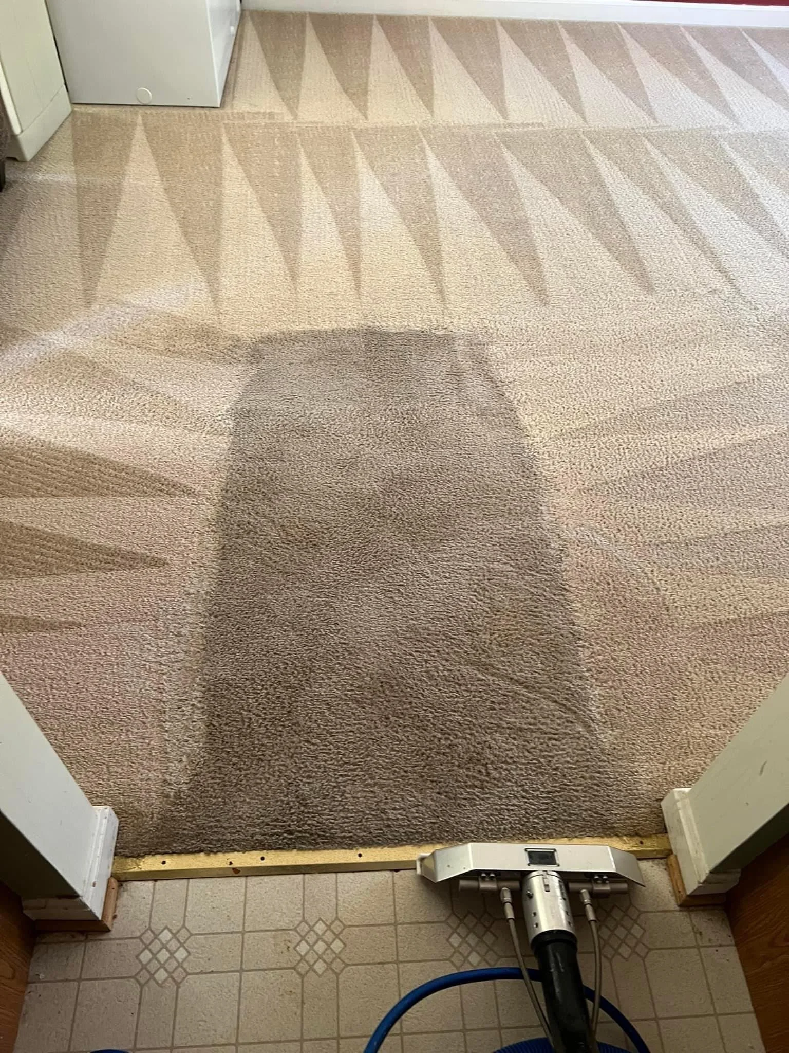 Carpet cleaning in progress with a steam cleaner creating a visible difference between clean and dirty areas.