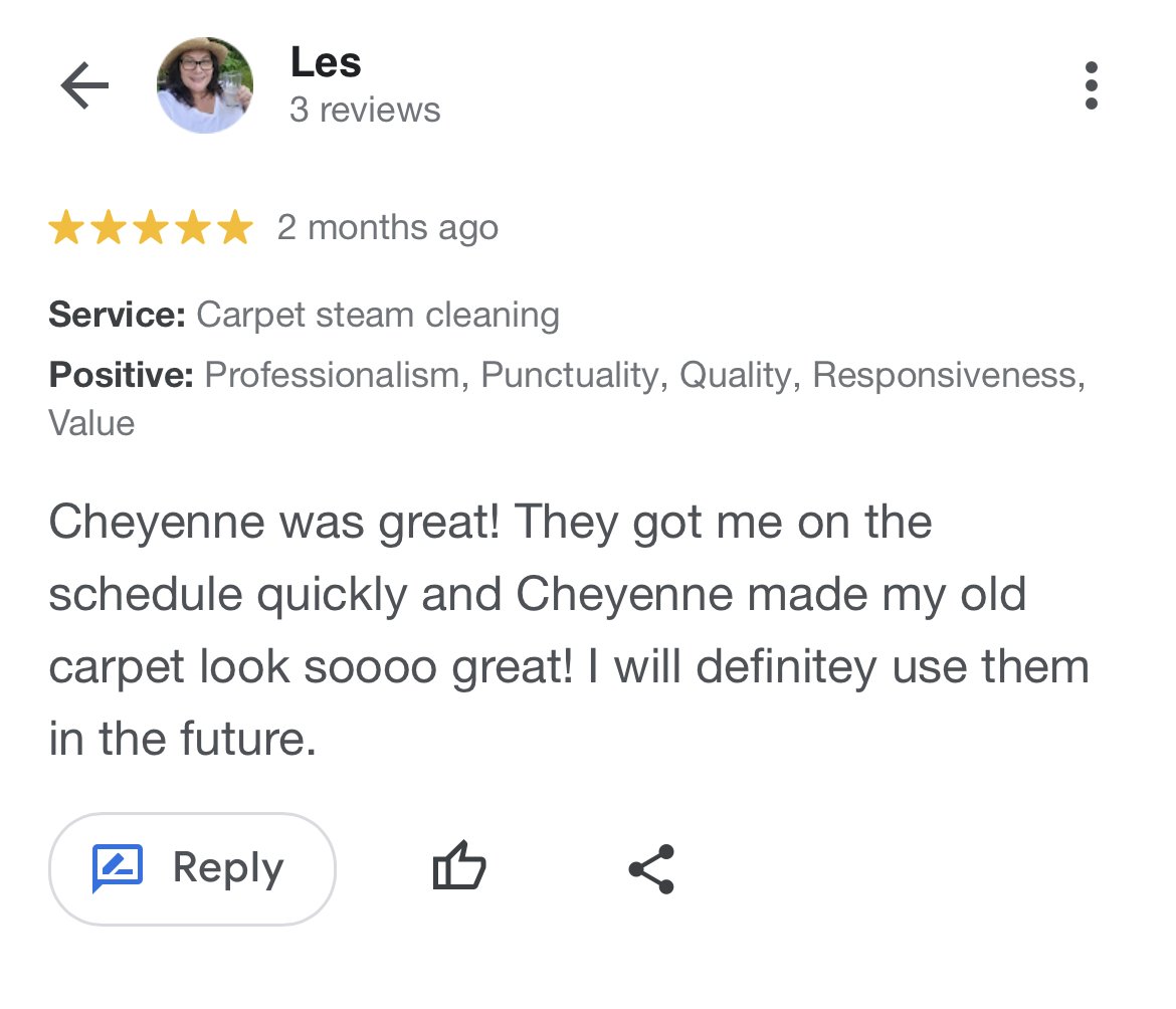 A review by Les for a carpet steam cleaning service. The review is positive with 5 stars given two months ago, praising professionalism, punctuality, quality, responsiveness, and value. Les commends Cheyenne for scheduling quickly and making the old carpet look great, stating intent to use the service again.