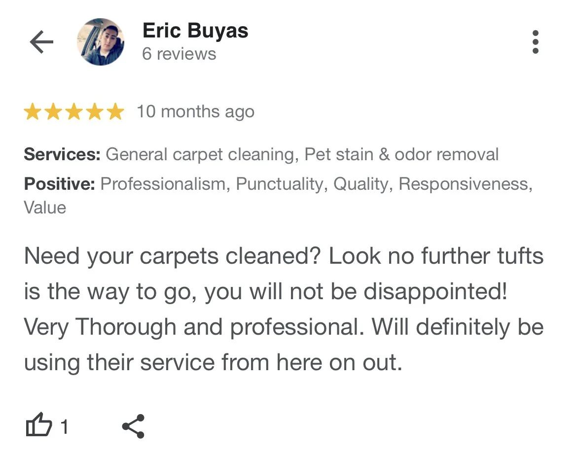 Five-star review for a carpet cleaning service highlighting professionalism and quality. The review is written by a user with 6 reviews, praising the service's thoroughness and professionalism, and recommending it for carpet cleaning, pet stain, and odor removal.