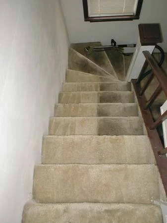 Carpeted staircase with a turn at the top, leading to a small window and banister.