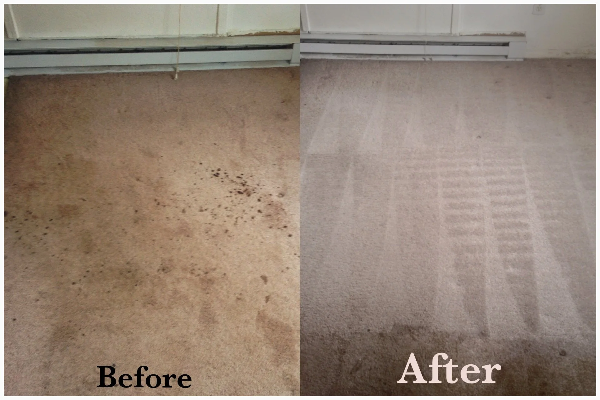 Side-by-side comparison of a carpet before and after cleaning, showing significant stain removal and improved appearance.