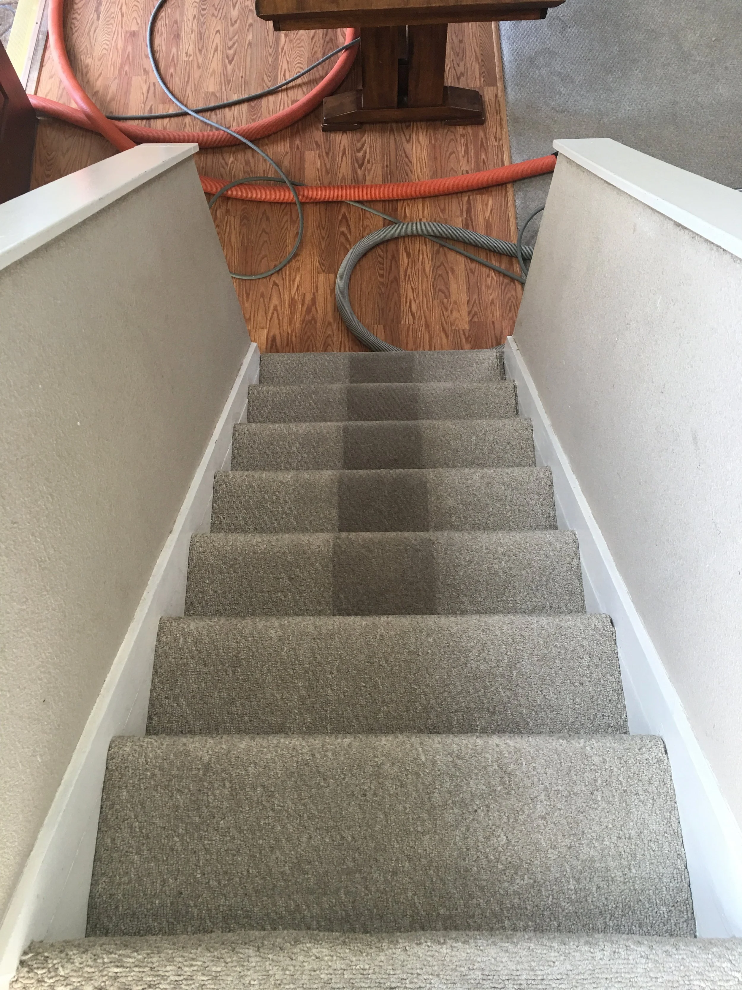 Staircase with a visible line showing carpet cleaning results