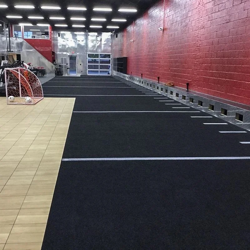 Indoor gym space with black flooring, lined sections, red walls, small soccer goal, and exercise equipment on the side.