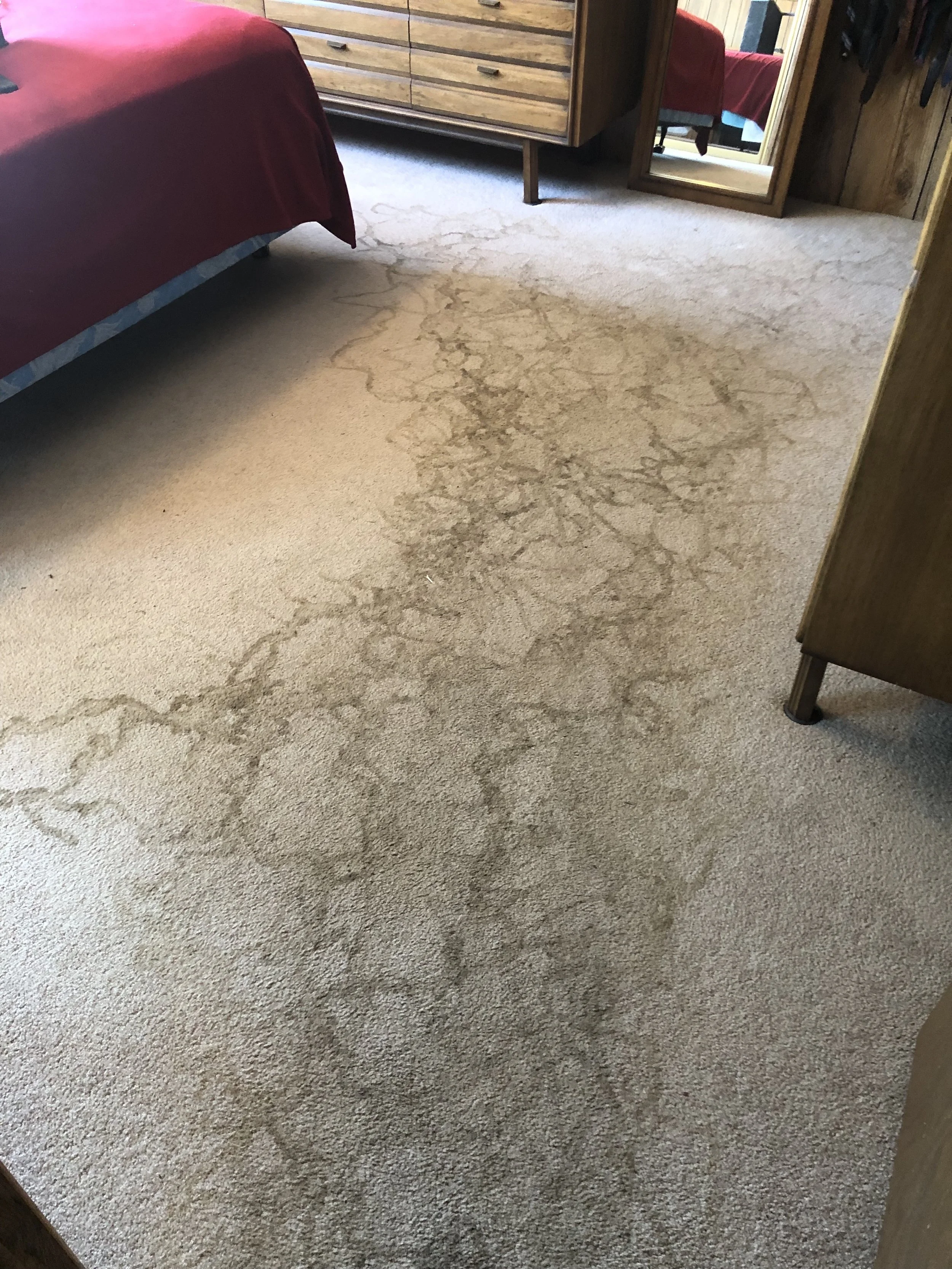 Bedroom with a beige carpet showing water stains, a red-covered bed, a wooden dresser, and a floor mirror.