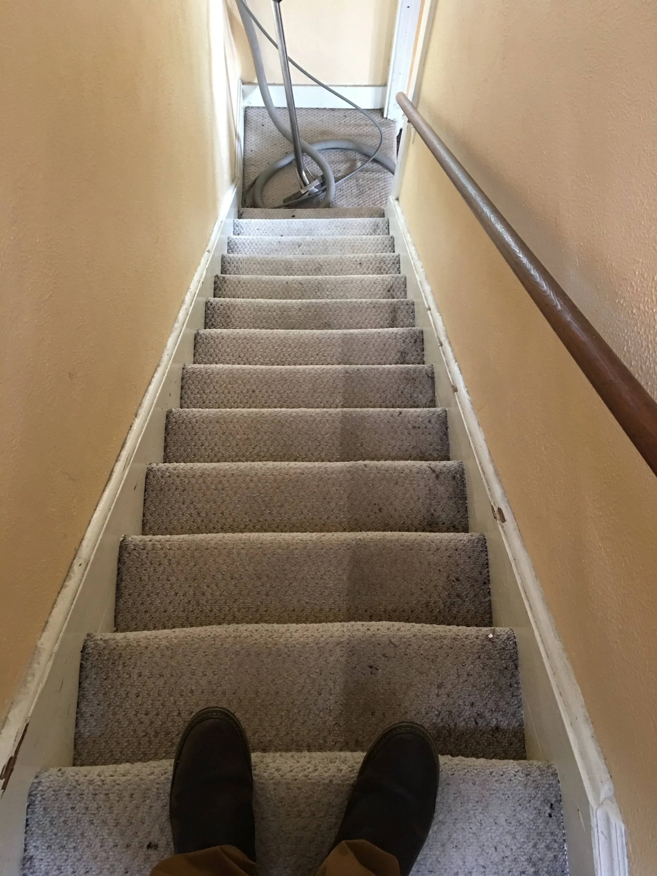View down a carpeted staircase with a vacuum cleaner at the bottom and a handrail on the right side.