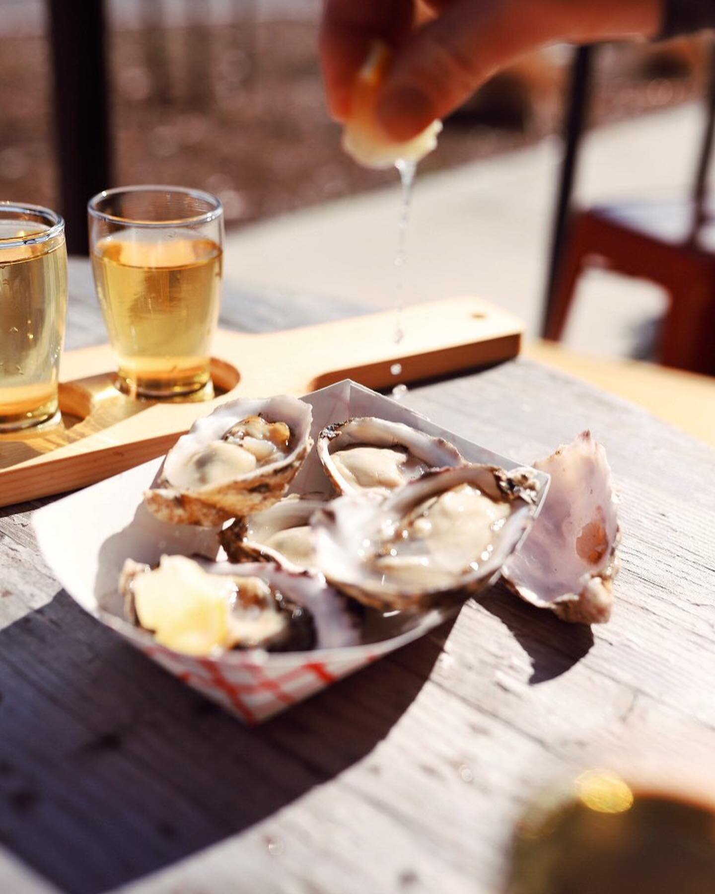 @kristinkins with the dreamy shots, always. 🤩🤤

#ponderosabeerandbooks #draytonharboroystercompany