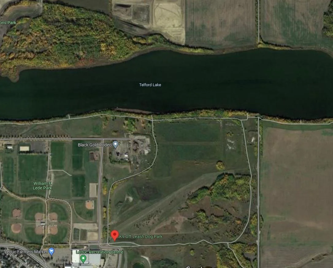 The pathway from your backyard can get you to the dog park and Telford Lake trails in less than a 7 min bike ride!