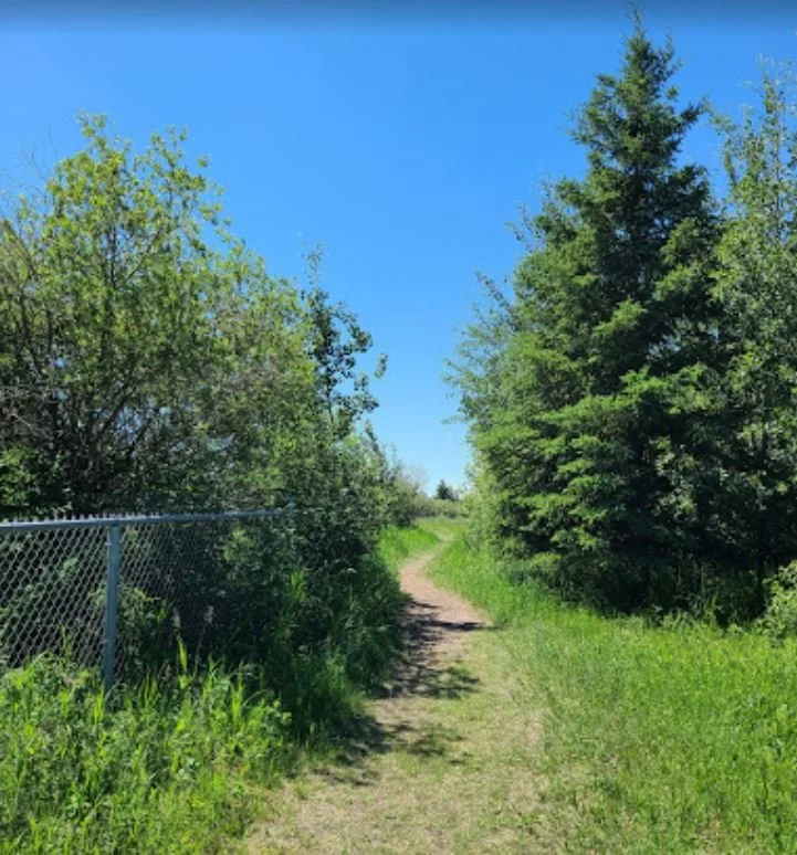 There are walking paths though the fully fenced dog park