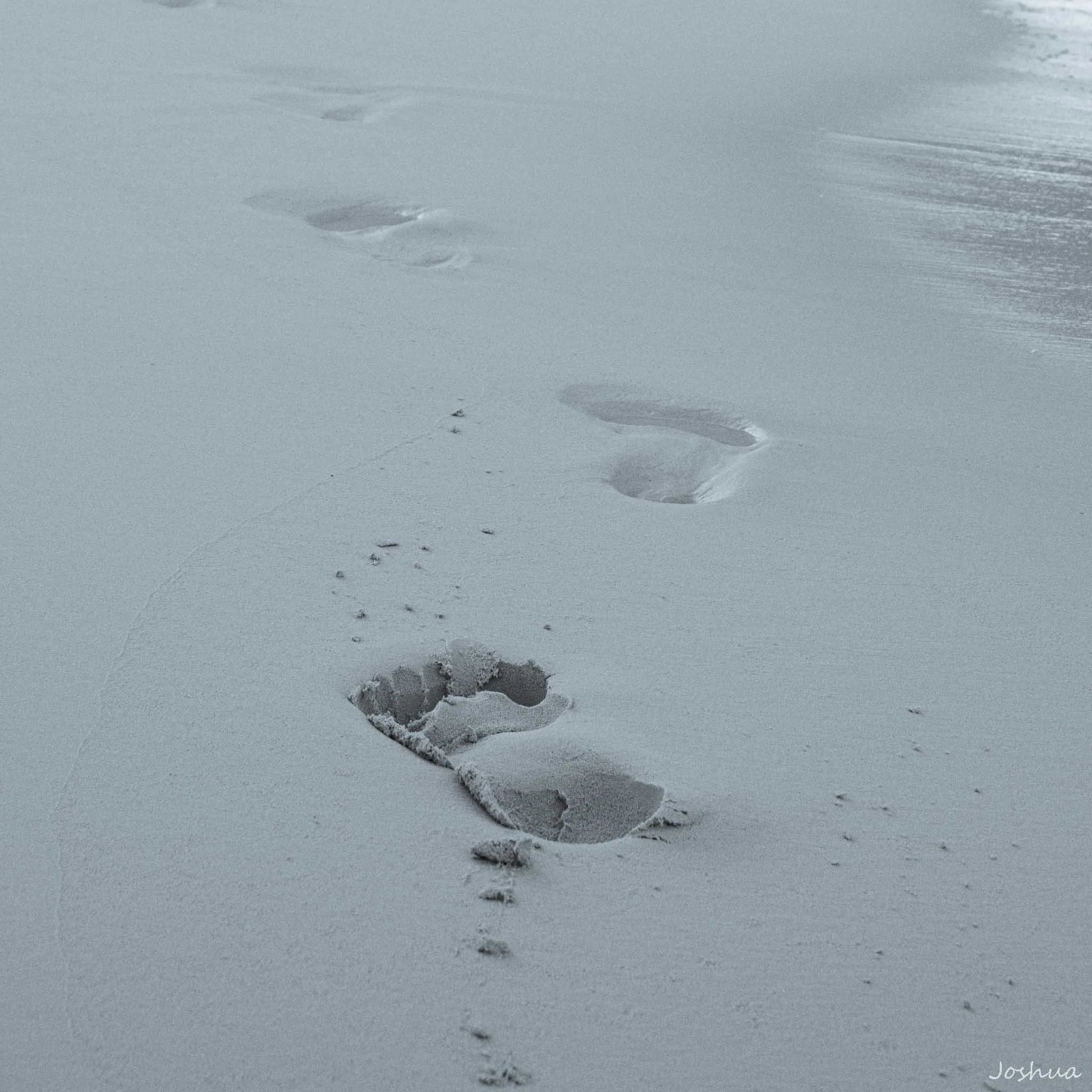 It Has Always Been Us