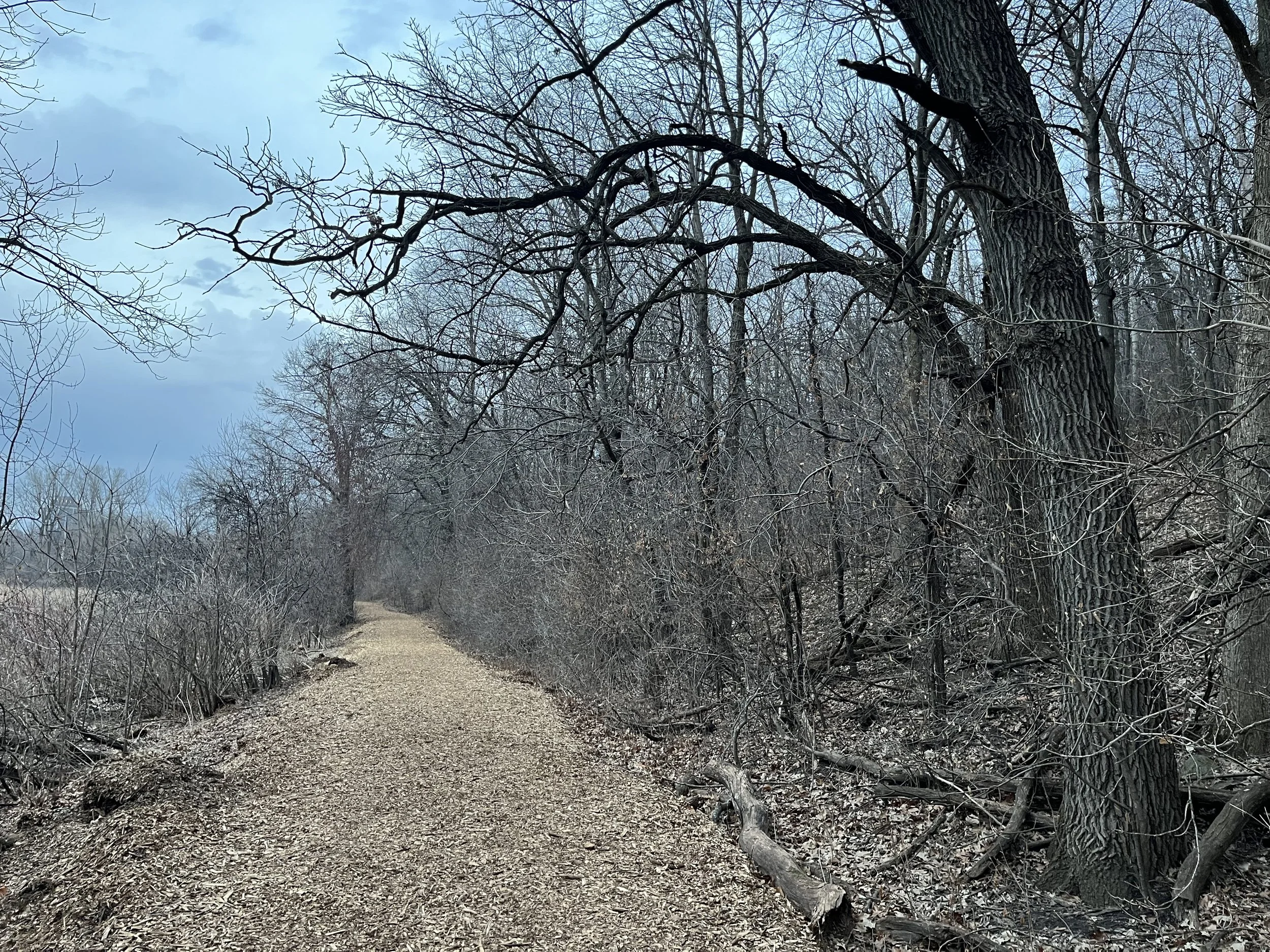 Girard Lake Park Restoration Project
